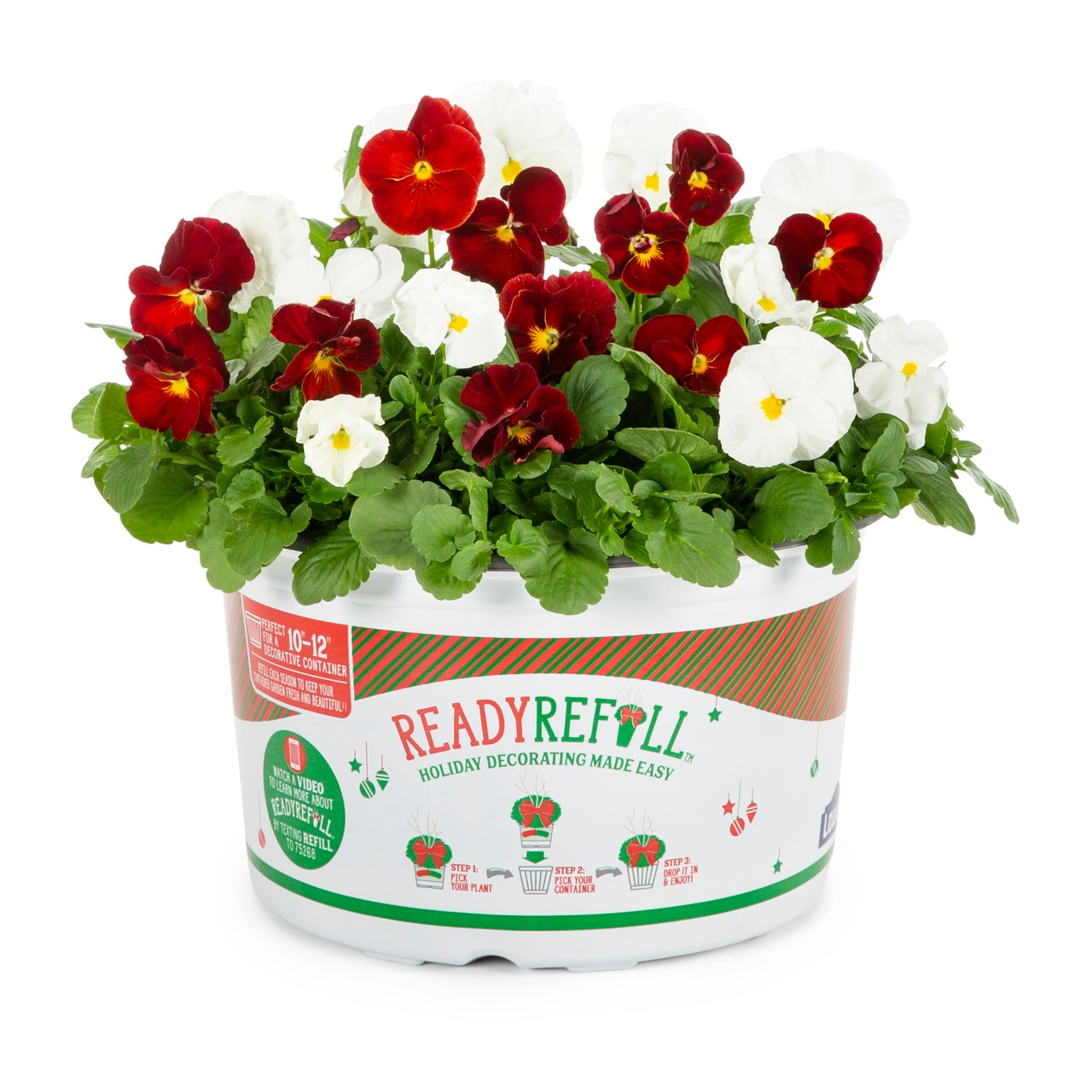  5340088 Multicolor Pansy Holiday Mix in 1.5 Gallon(s) Planter 1 -Pack