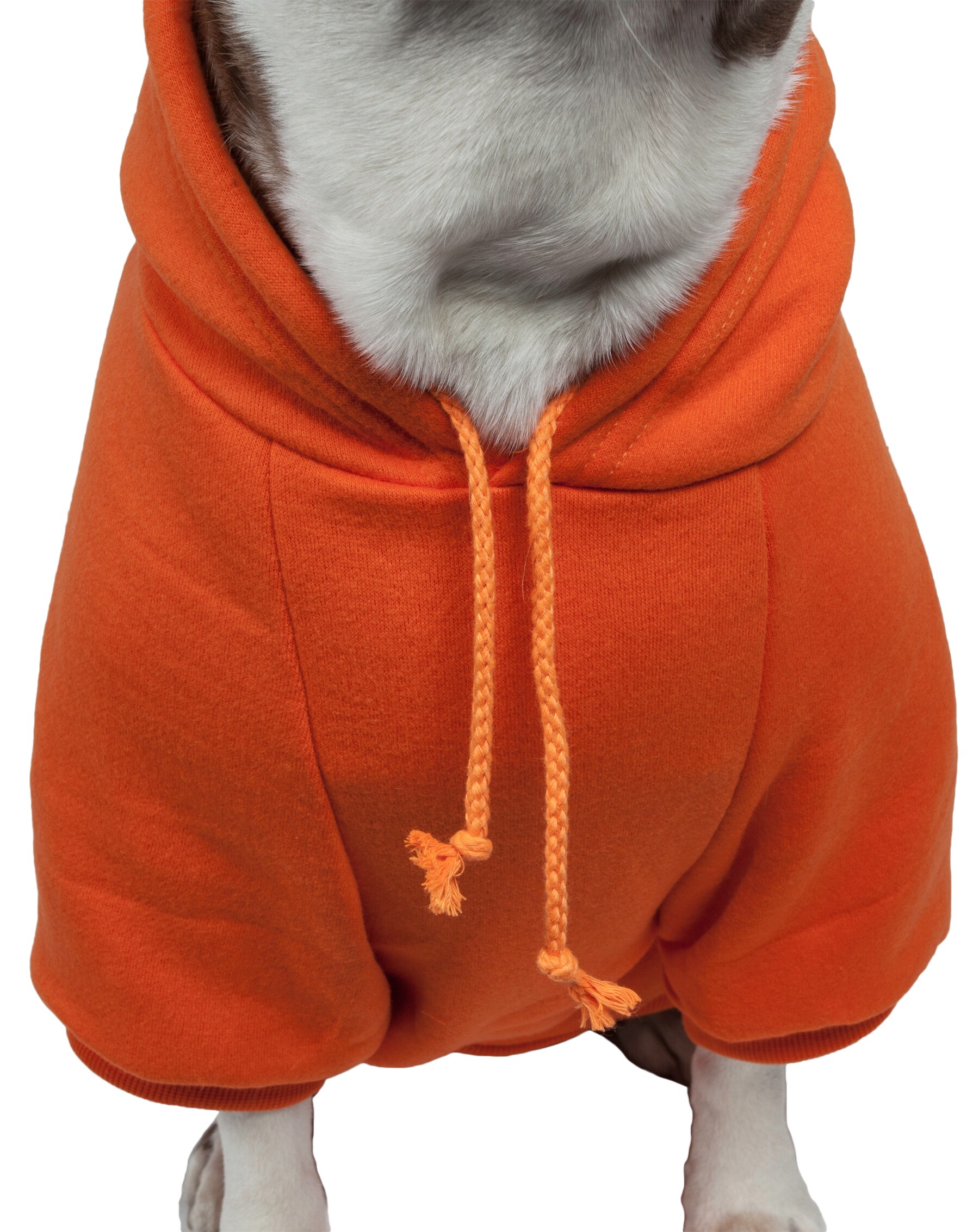 Cat, 49ers Pet Pullover Hoodie