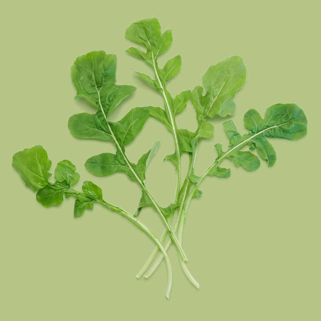 Lettuce Grow SO-SV-12-107603 Vegetable-Plants - View #9