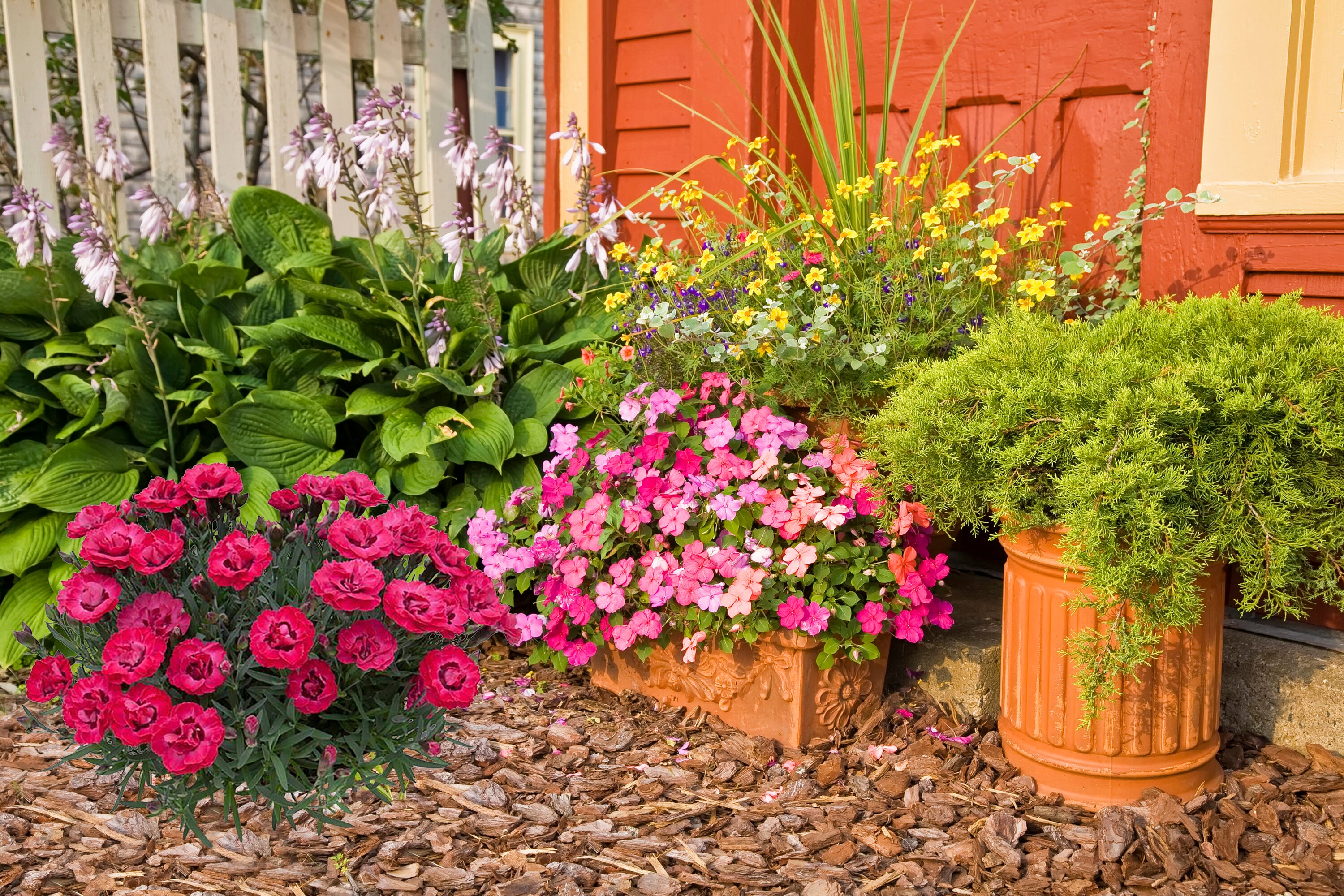  1384 perennials - View #3