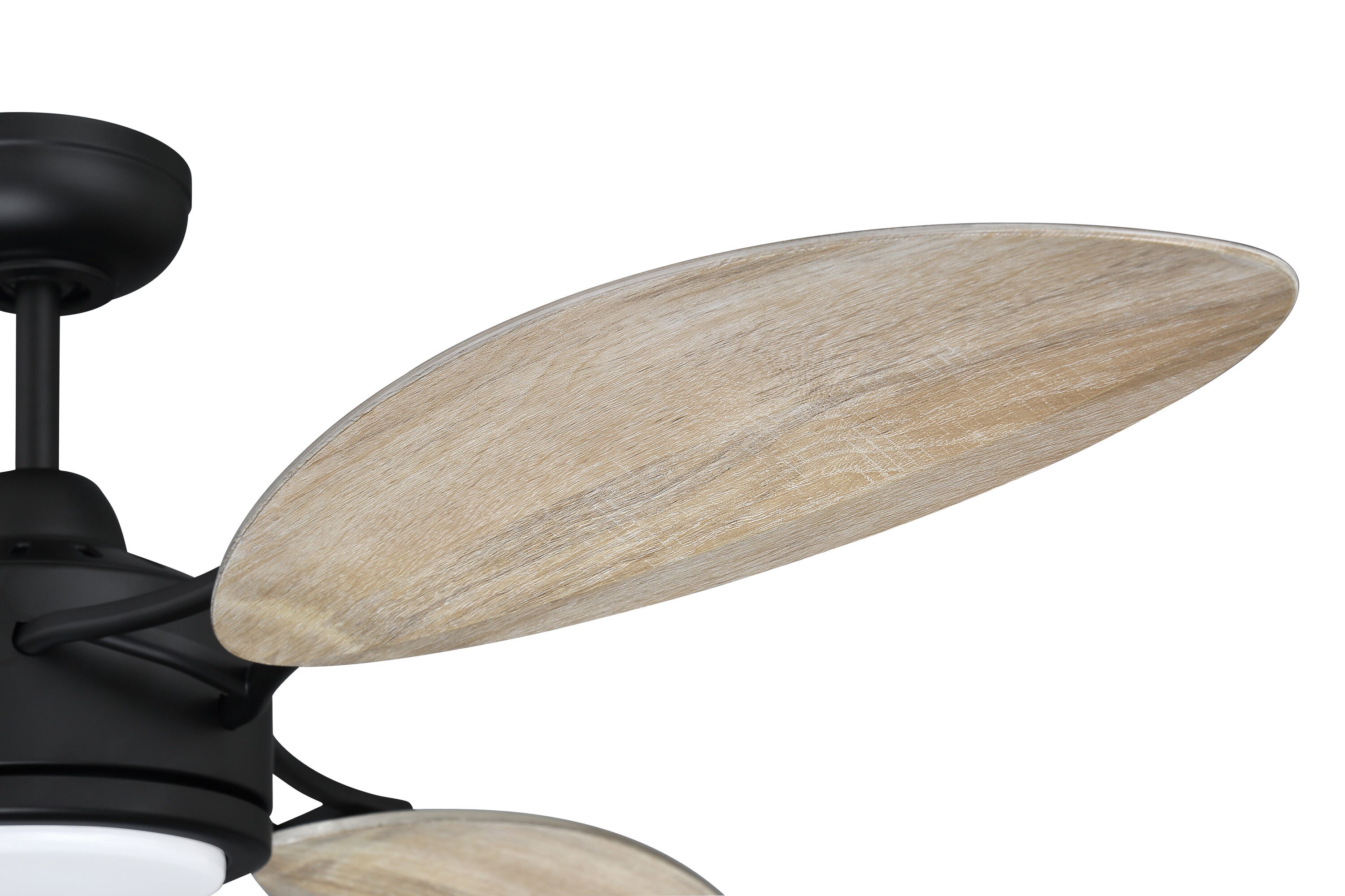 Craftmade JOU64FB3 Ceiling-Fans - View #7