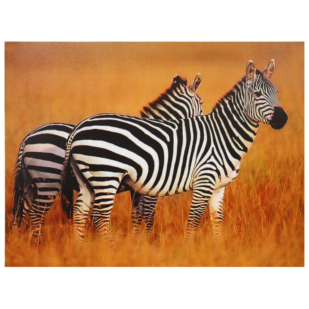 Red Lantern CV-ART-ZEBRA 23.5-in H x 31.5-in W Abstract Print on Canvas