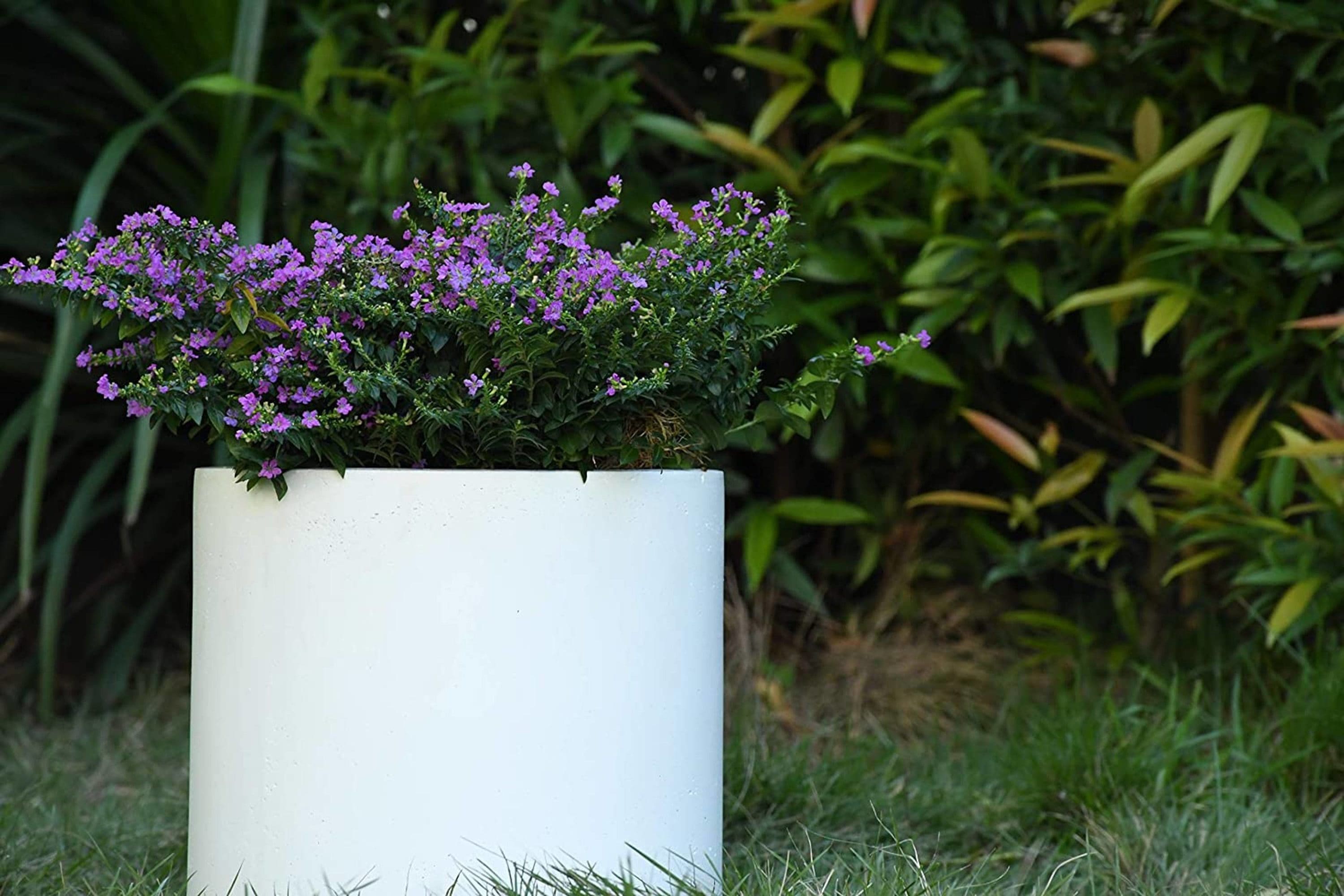 KANTE RC0119A-C80011 Planter-Window-Box - View #4