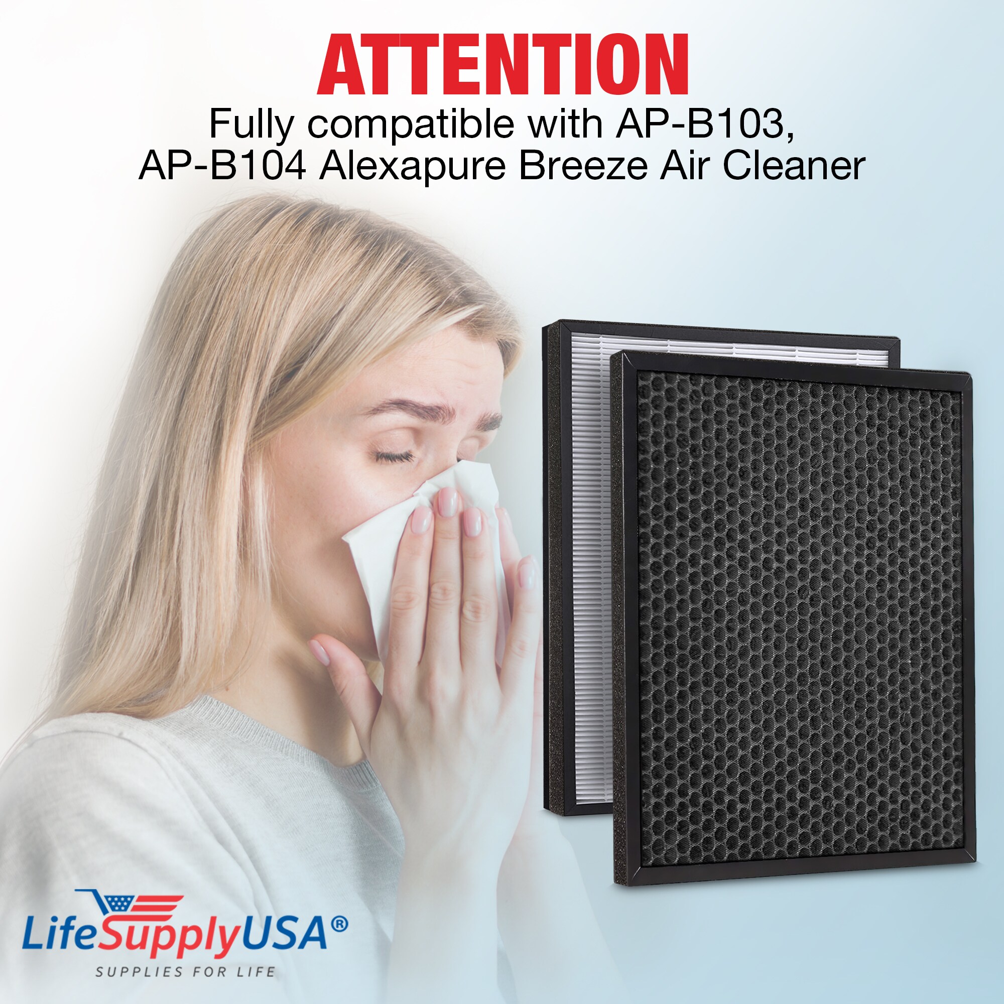 LifeSupplyUSA 11.14 in W x 1.85 in H x 14.37 in L Alexapure AP B103 AP B104 Breeze True Hepa Air Purifier Filter ER689 HD at Lowes