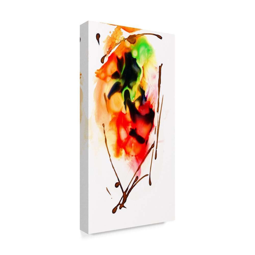 Trademark Fine Art MA00956-C2447GG Wall-Art - View #2