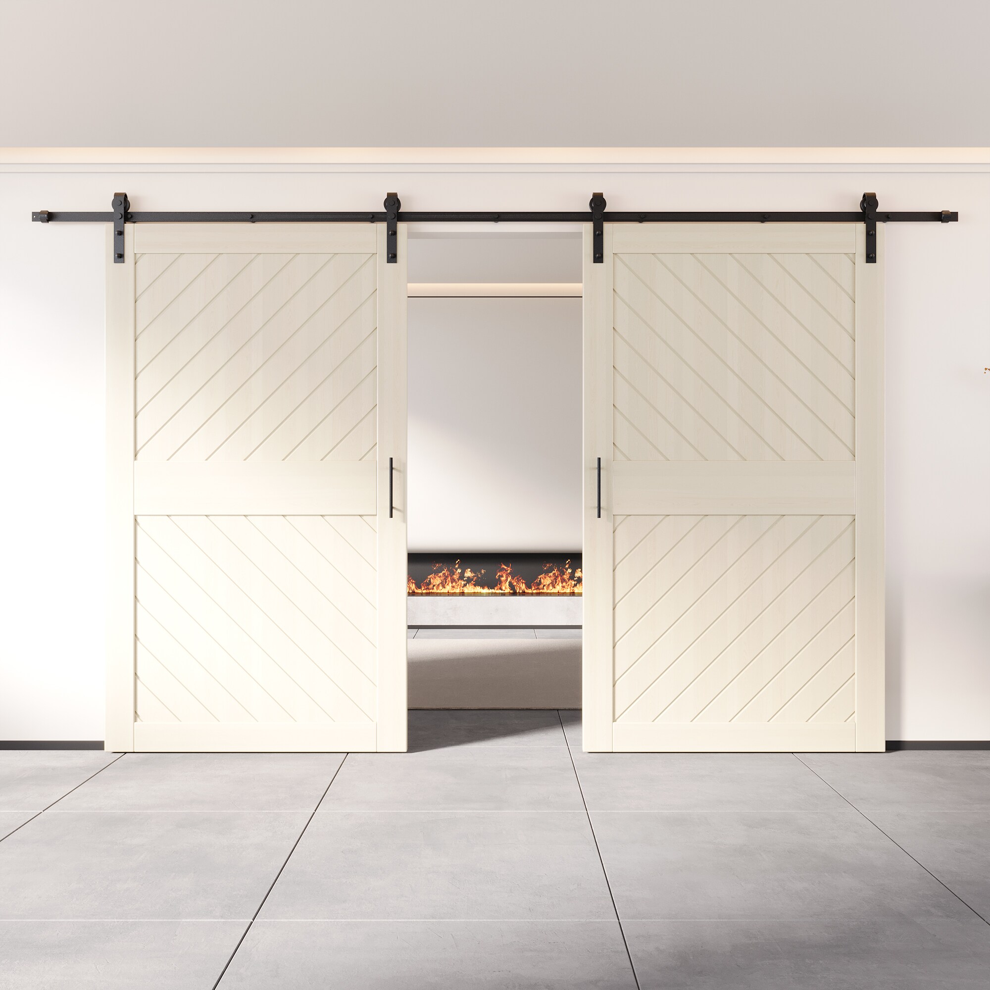 HOMACER YT2H216C-XT3-4884-TG Barn-Doors - View #8