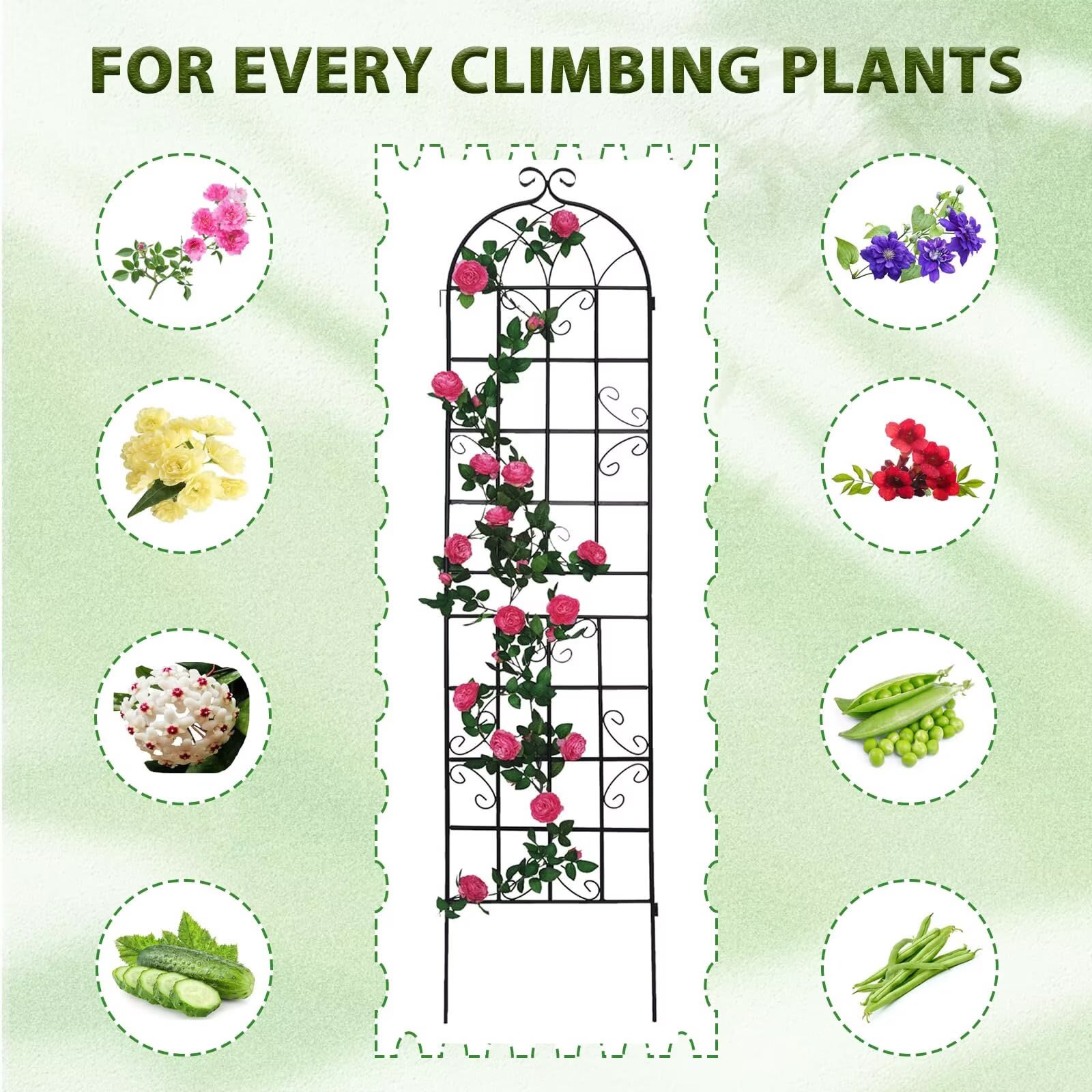 Qeetex JXNAG-PHO-12JFJ8WD Garden-Trellis - View #4