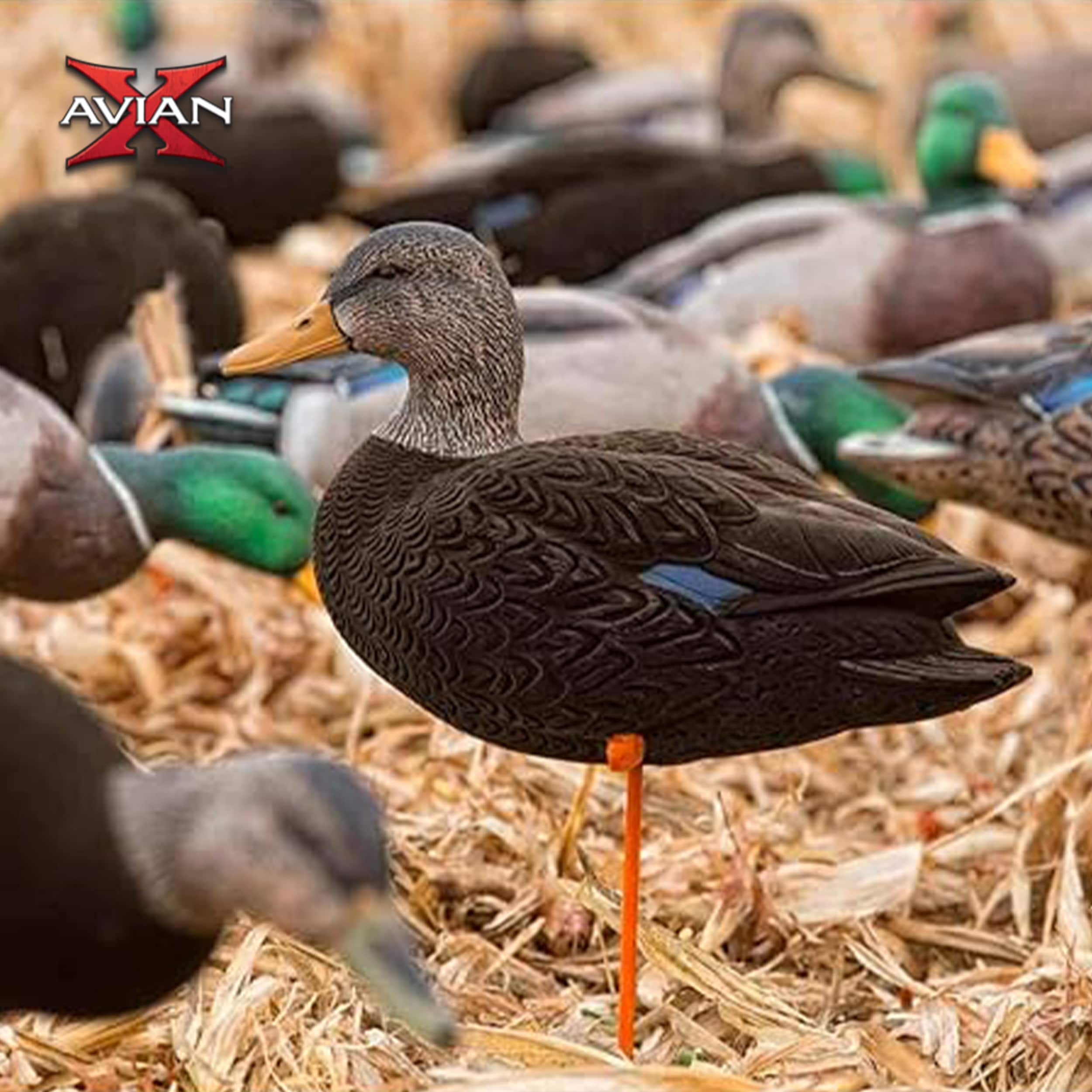  Avian X 408519 Hunting-Equipment - View #6
