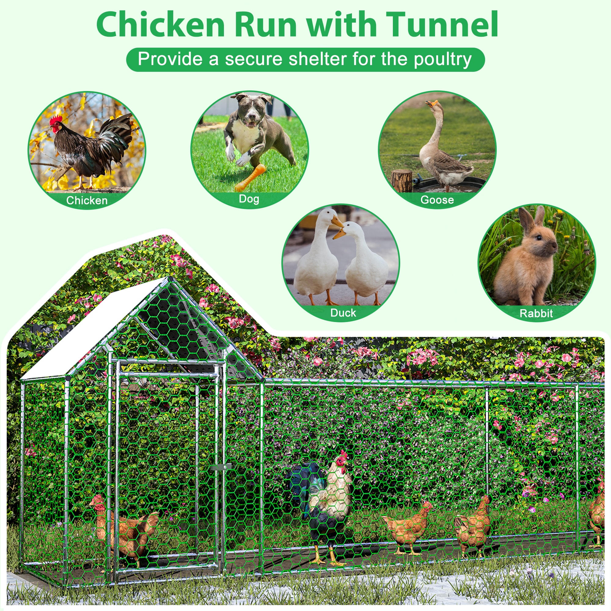 Clihome CL-STO-51985 Chicken-Coops-Rabbit-Hutches - View #6