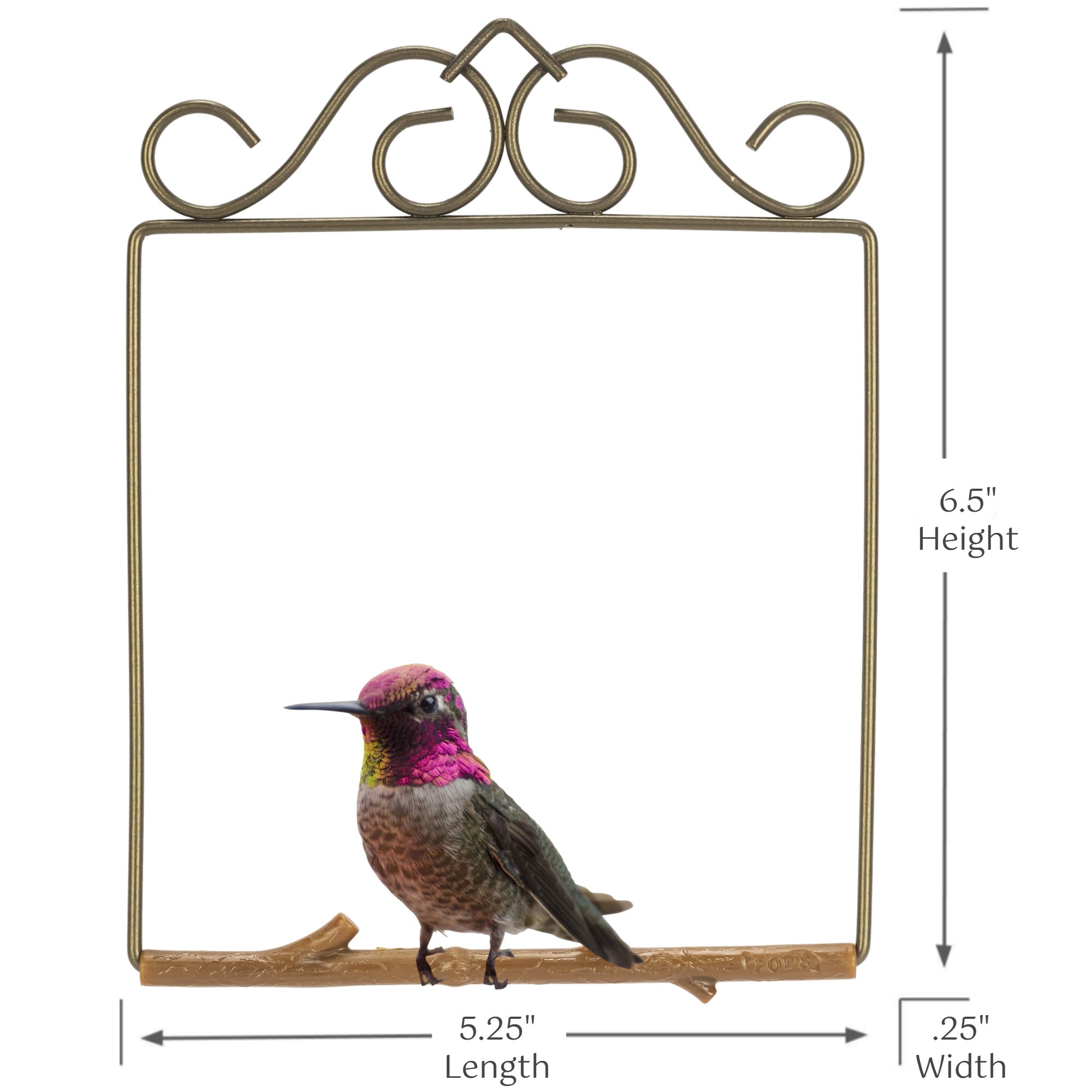 Pop's Birding OGB-BR Bird-Feeder-Accessories - View #6