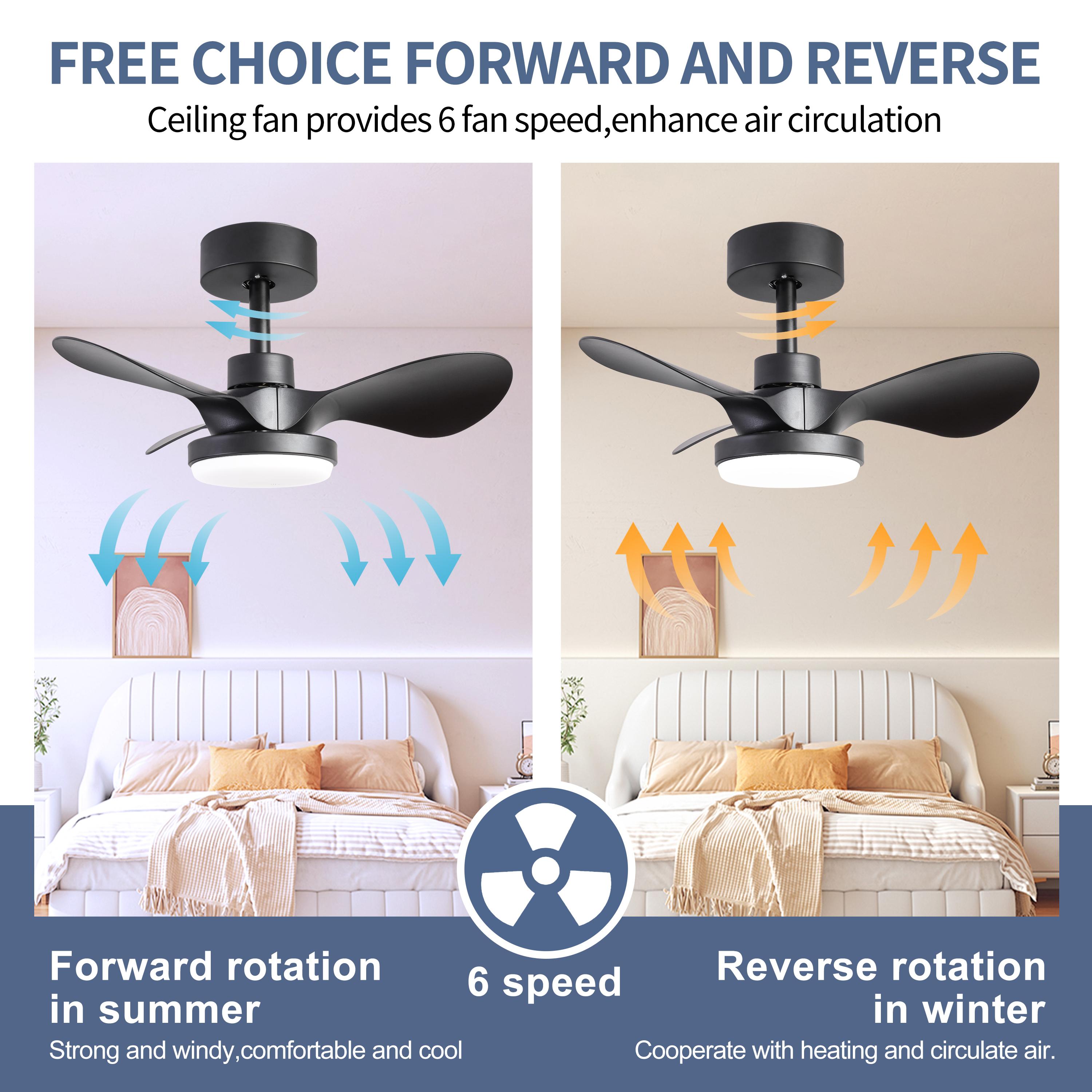 Bayfeve BFHM-24345-CF Ceiling-Fans - View #7