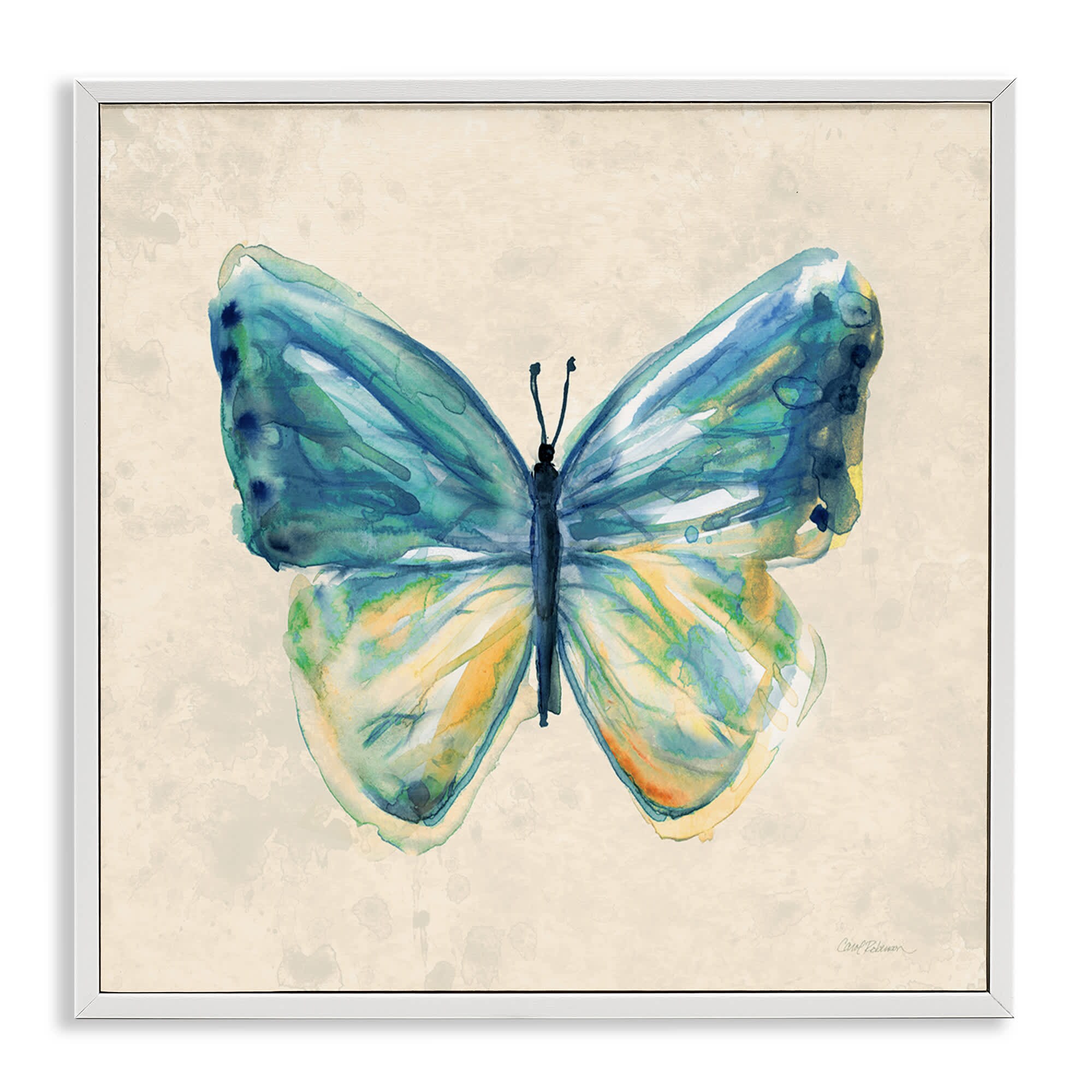 Stupell Industries BS-246-WFR-17X17 Bright Watercolor Butterfly White Framed Giclee Art By Carol Robinson 17 x 17