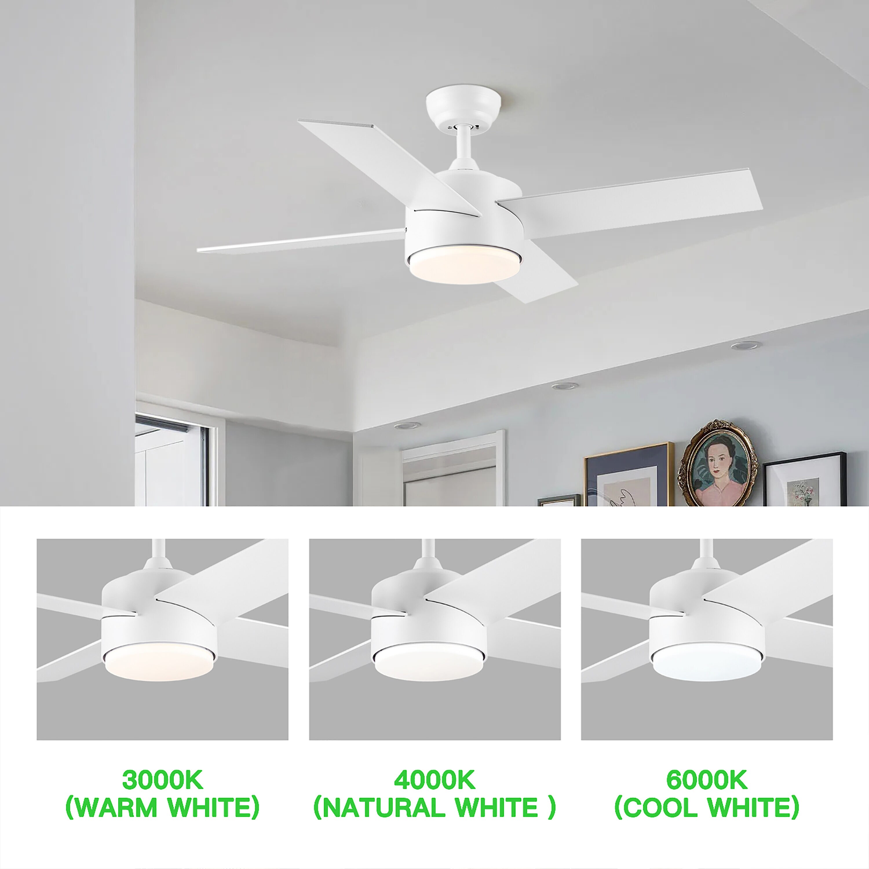 Maincraft D01-CF059 Ceiling-Fans - View #9
