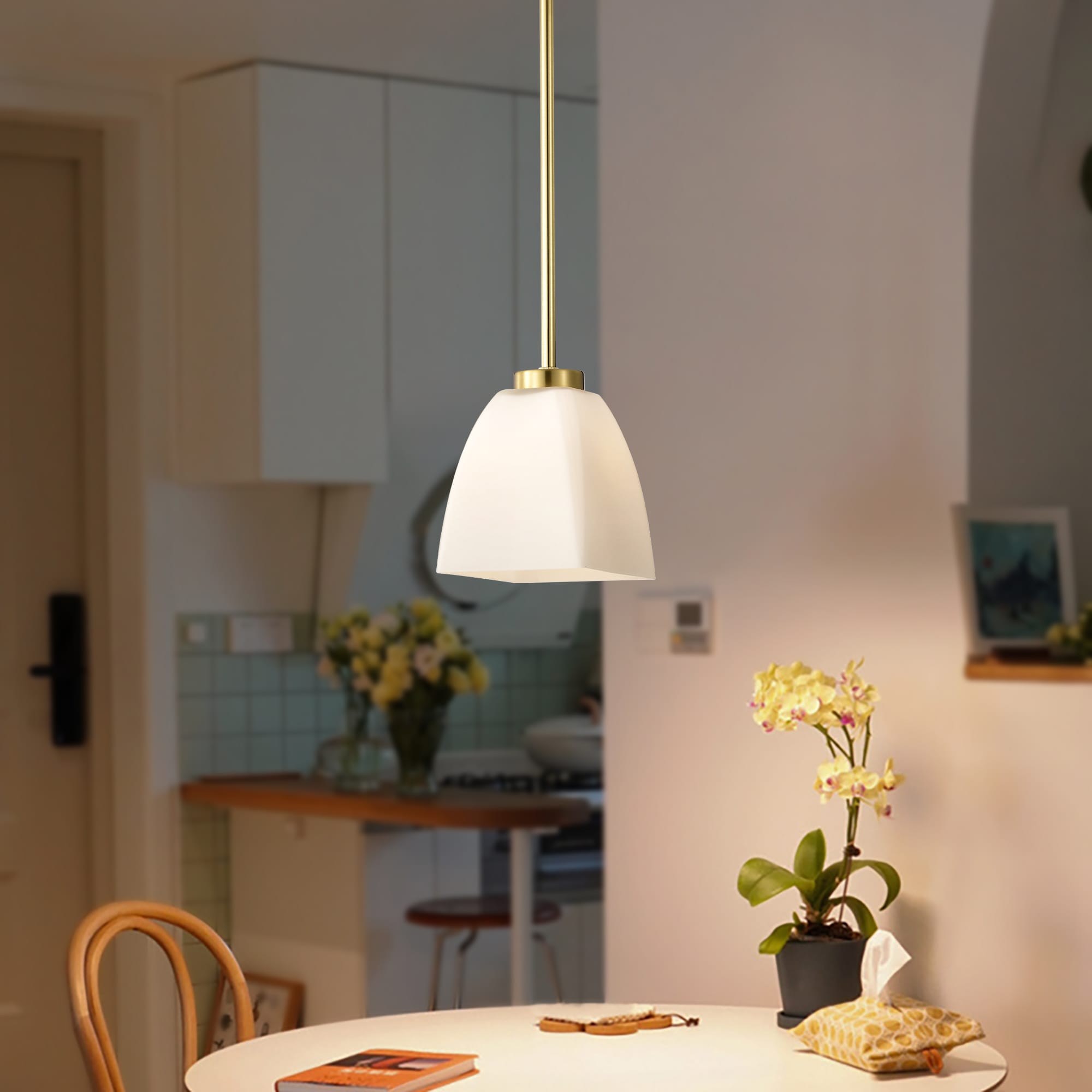 Edvivi EPJ2955BK Pendant-Lights - View #5