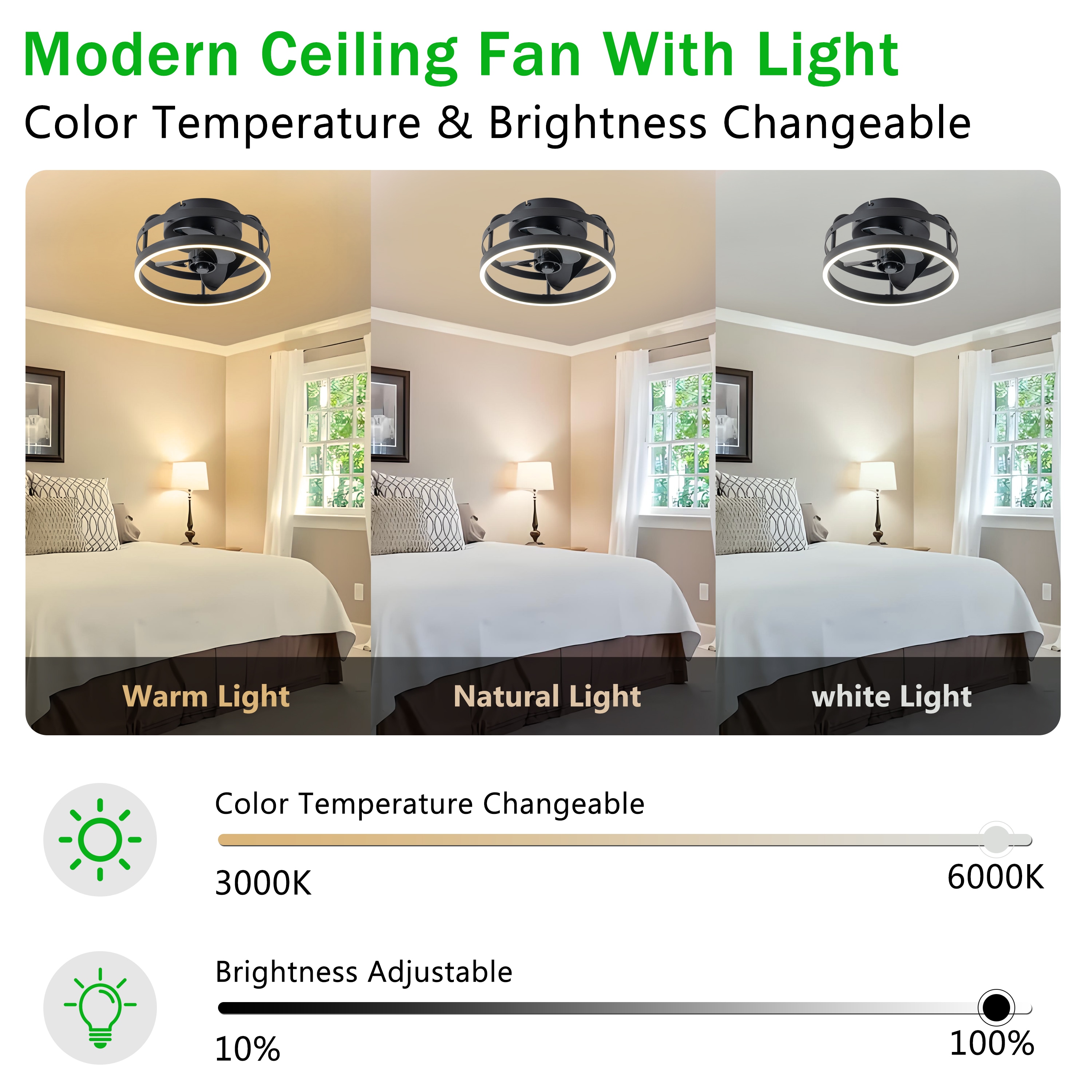 C Cattleya LCA2498-JES-CF Ceiling-Fans - View #2
