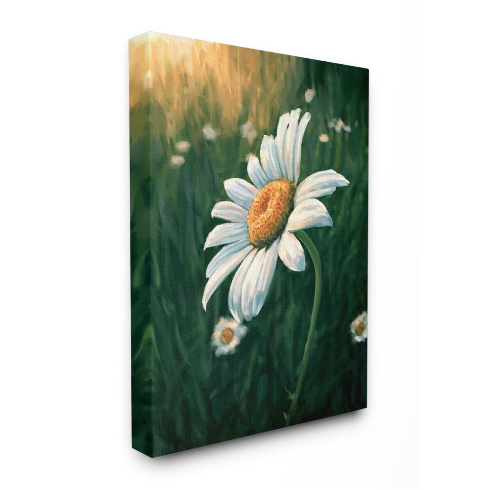 Stupell Industries AB-917-CN-24X30 Daisy Details in Field of Spring Flowers Ziwei Li Gallery Wrapped Canvas 30-Inches H x 24-Inches W Floral Canvas Print