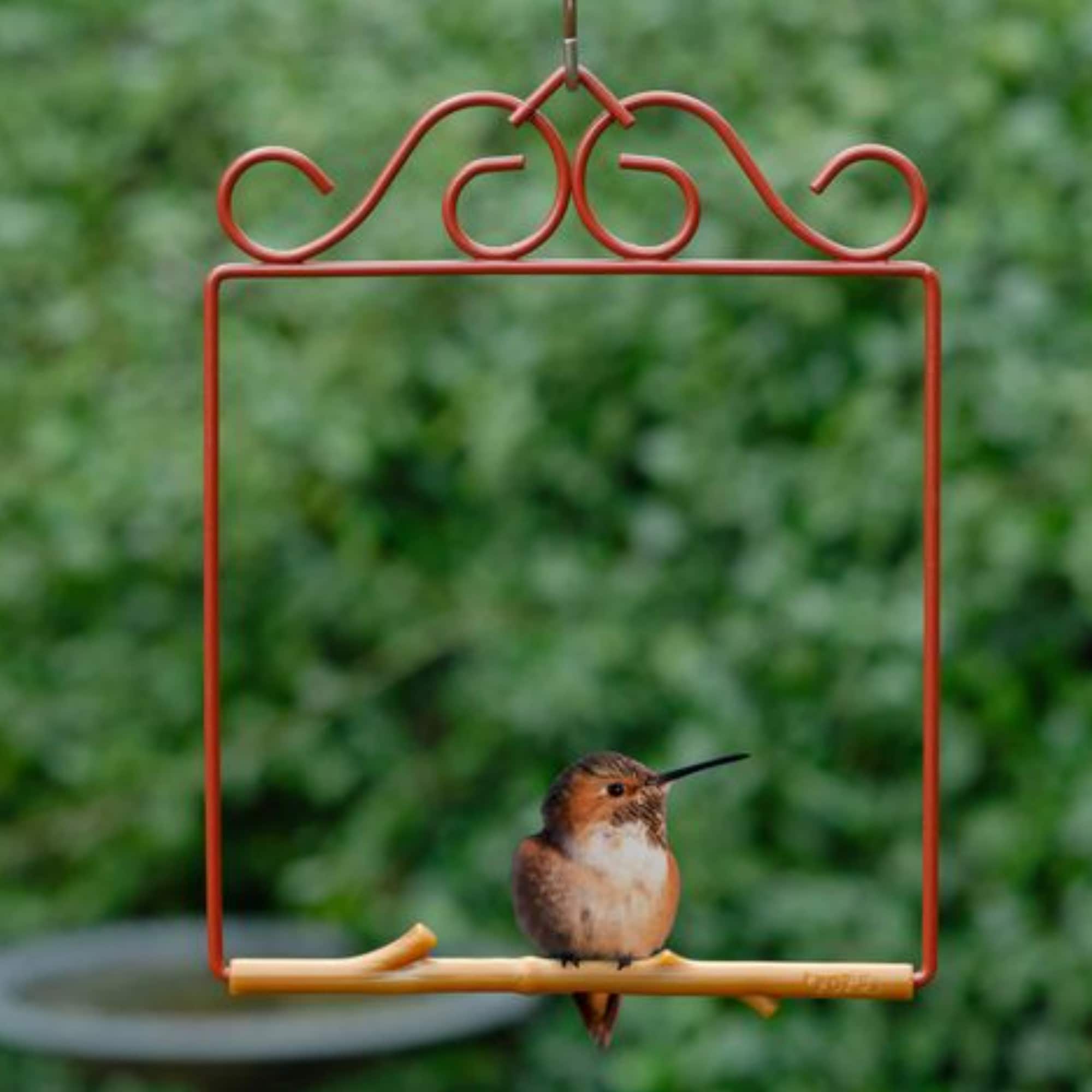 Pop's Birding OGRD-BR Bird-Feeder-Accessories - View #3