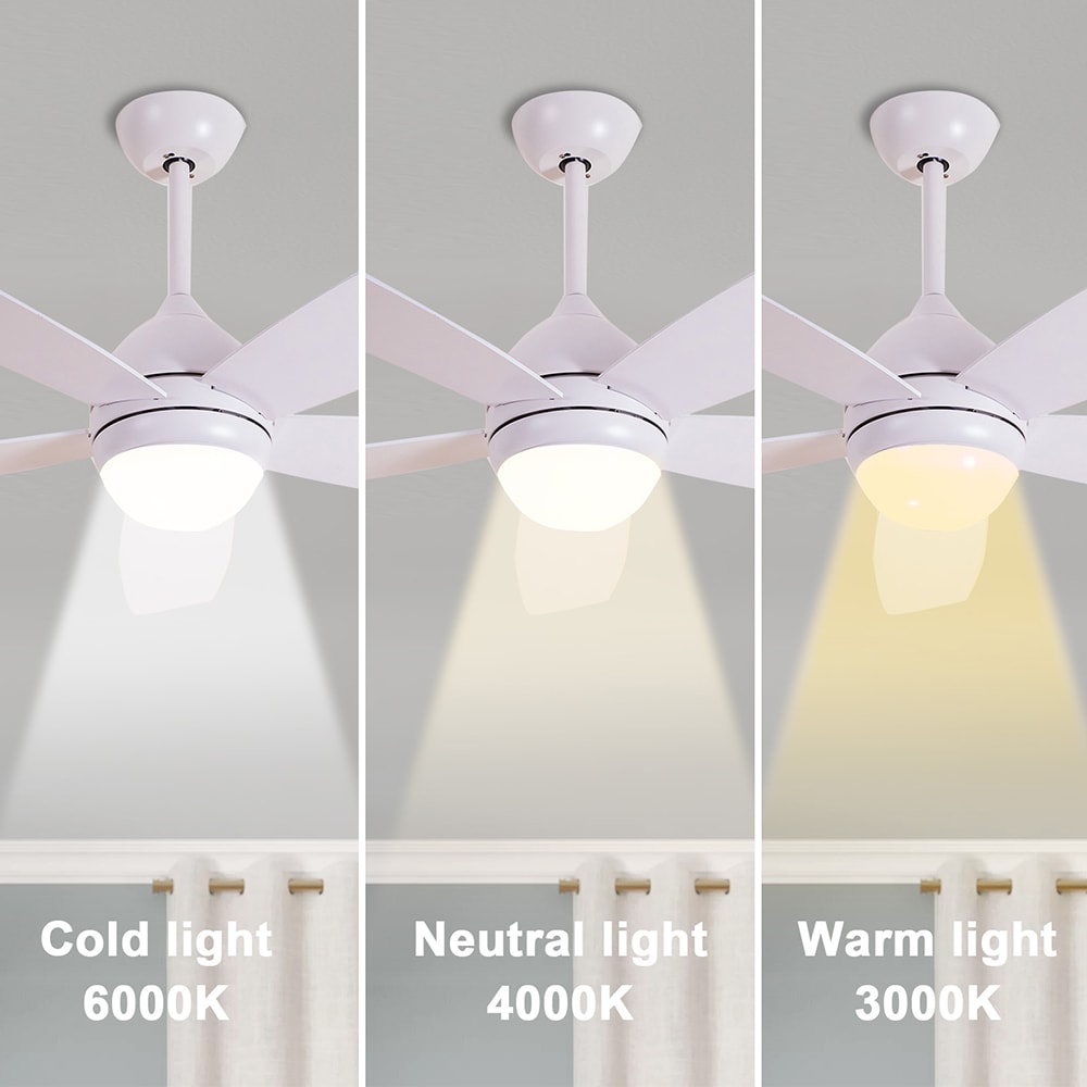 Sunrinx MG37-1-CF-14 Ceiling-Fans - View #6