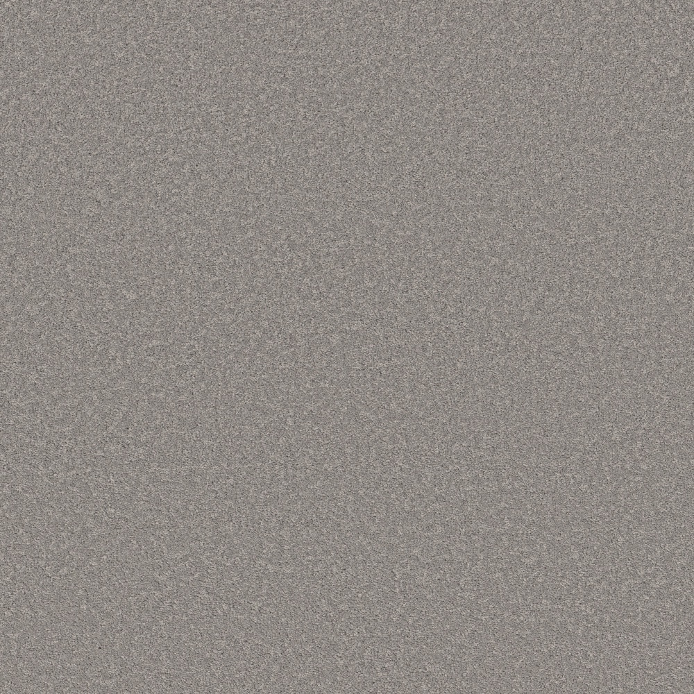 STAINMASTER PetProtect 7L970-502-SAMP (Sample) 8-in x 8-in with LeakDefense Happy Howling I Vintage Gray 49-oz sq yard High-performance polyester Textured Indoor Carpet