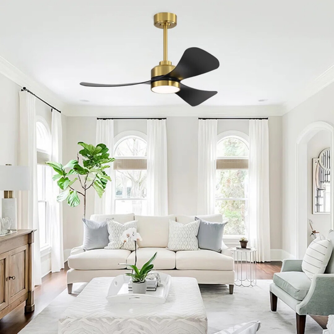 MLIAN WBCF-BS168-GB Ceiling-Fans - View #5