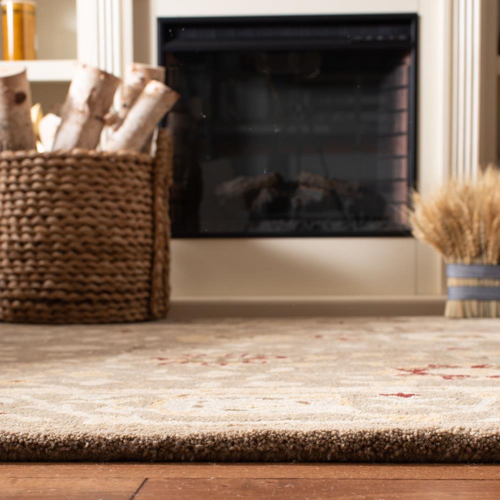 Safavieh AN559A-4 rugs - View #7
