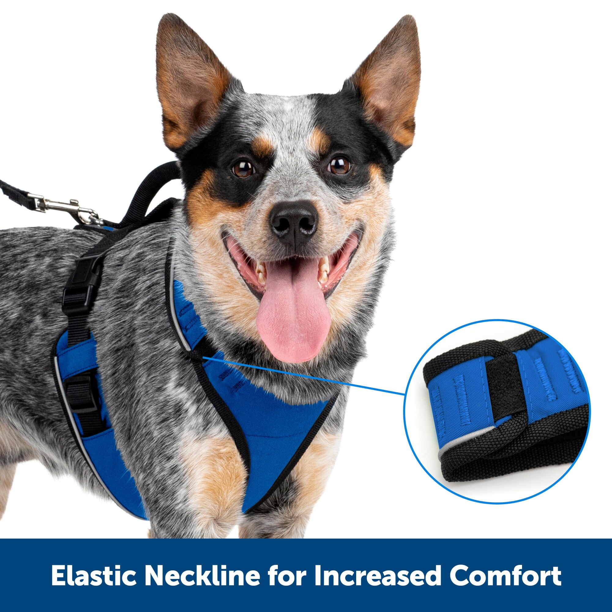 PetSafe ESPH-L-BLUE  - View #2