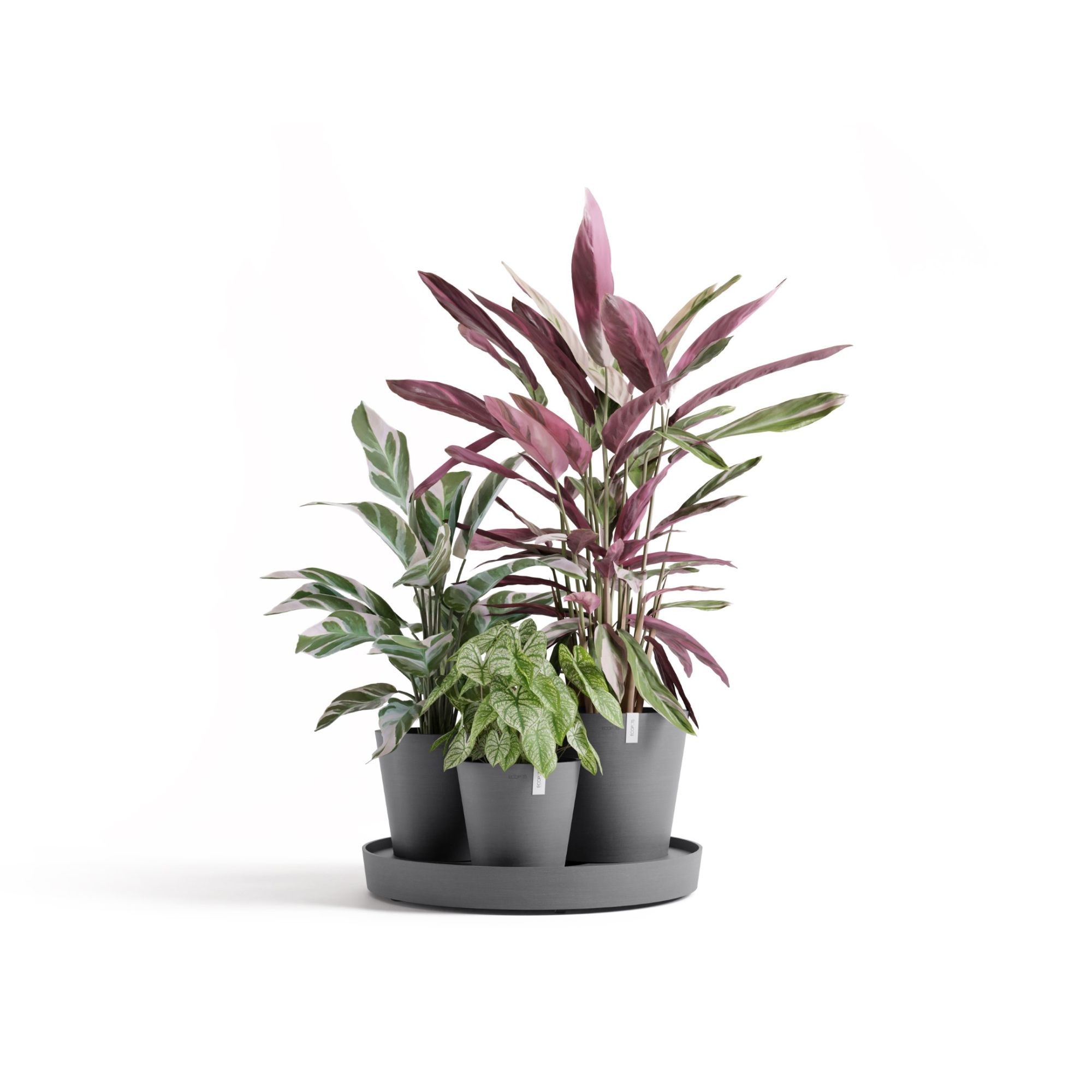 ECOPOTS 5413724329633 Planter-Window-Box - View #4