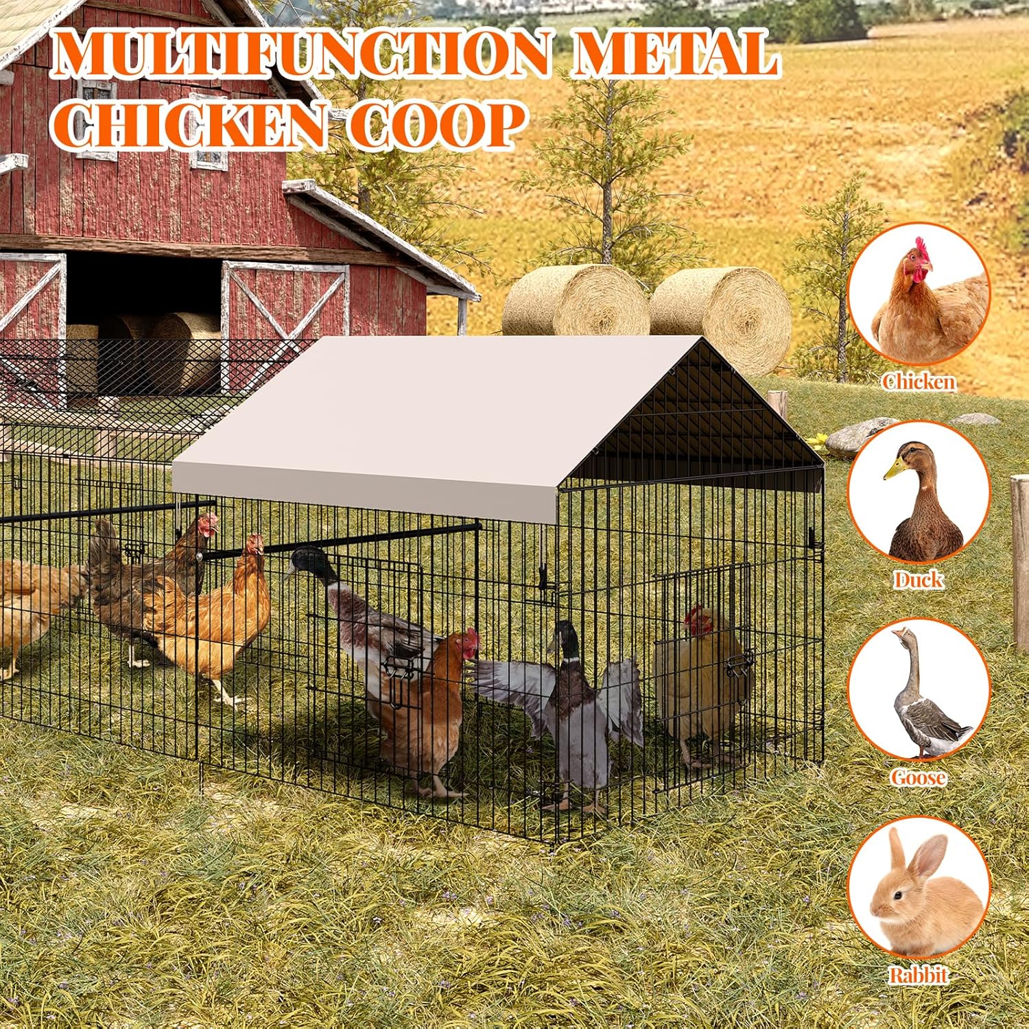 WhizMax BY02-PHO-33E4RQ7C Chicken-Coops-Rabbit-Hutches - View #2