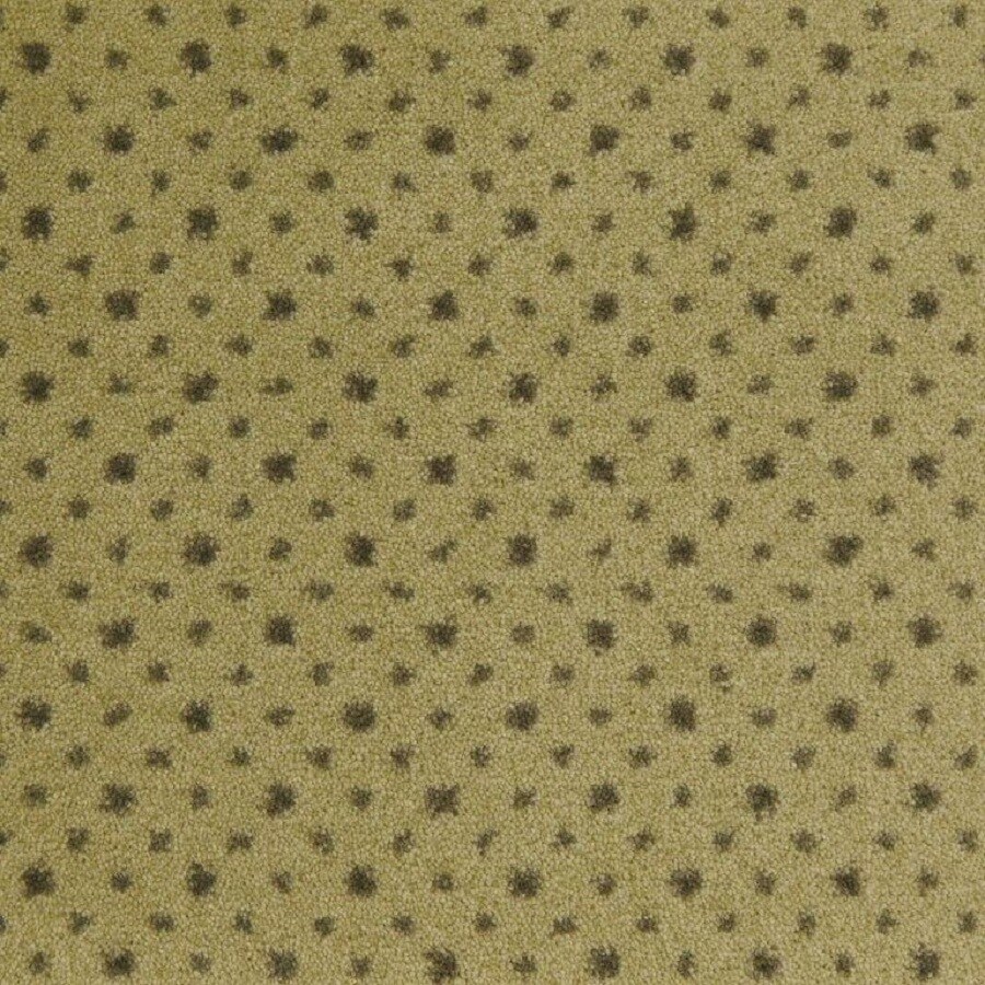 STAINMASTER 2710018355 (Sample) Avocado Carpet