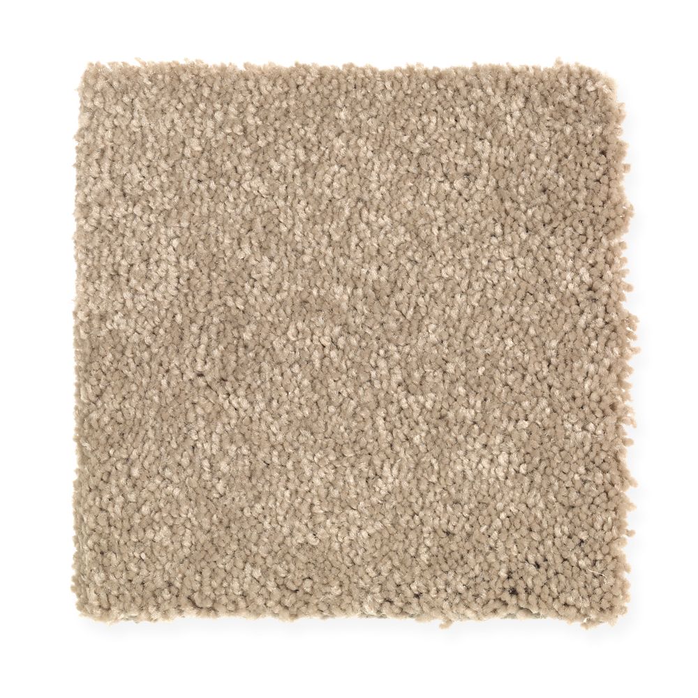 STAINMASTER (Sample) Uptown trend II Corinthian Textured Indoor Carpet ...