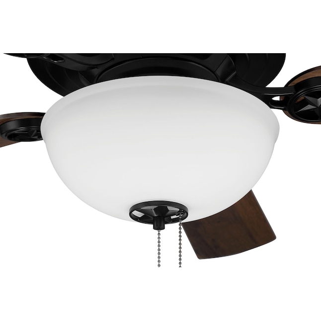Tinted Glass Ceiling Fan Light Shade