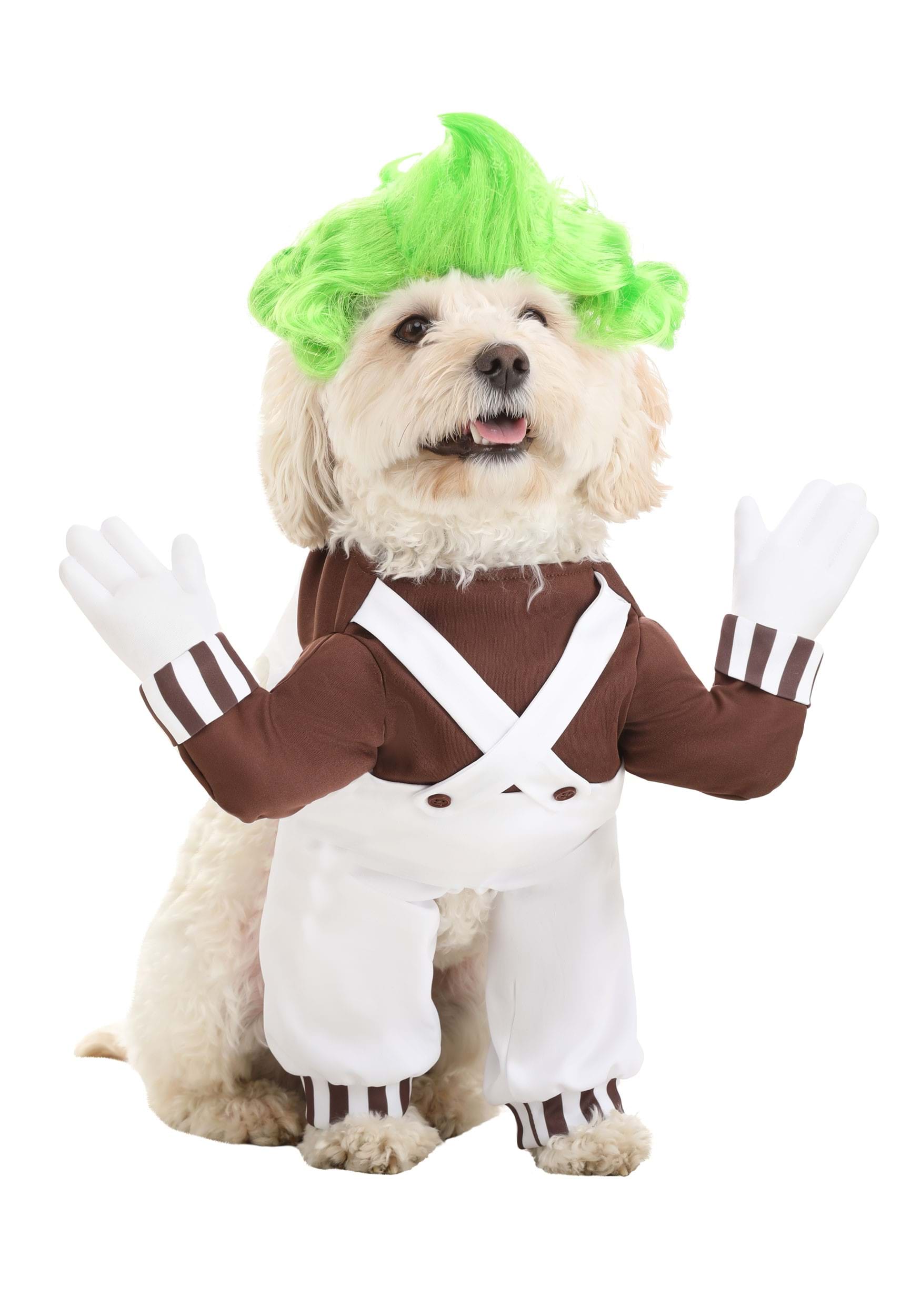 HalloweenCostumes.com FUN3587-M FUN Costumes Dog Oompa Loompa Costume M