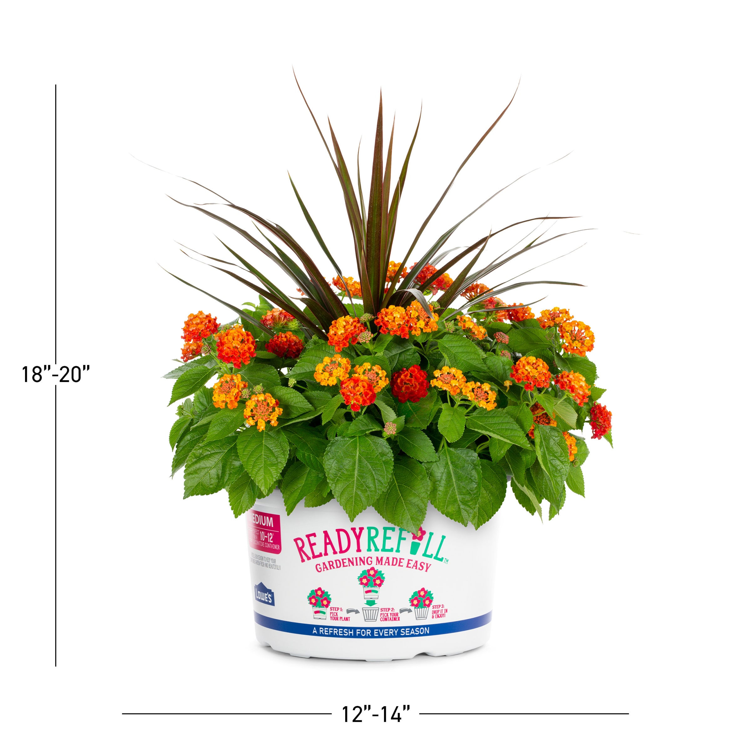 Ready Refill NURSERY annuals - View #3