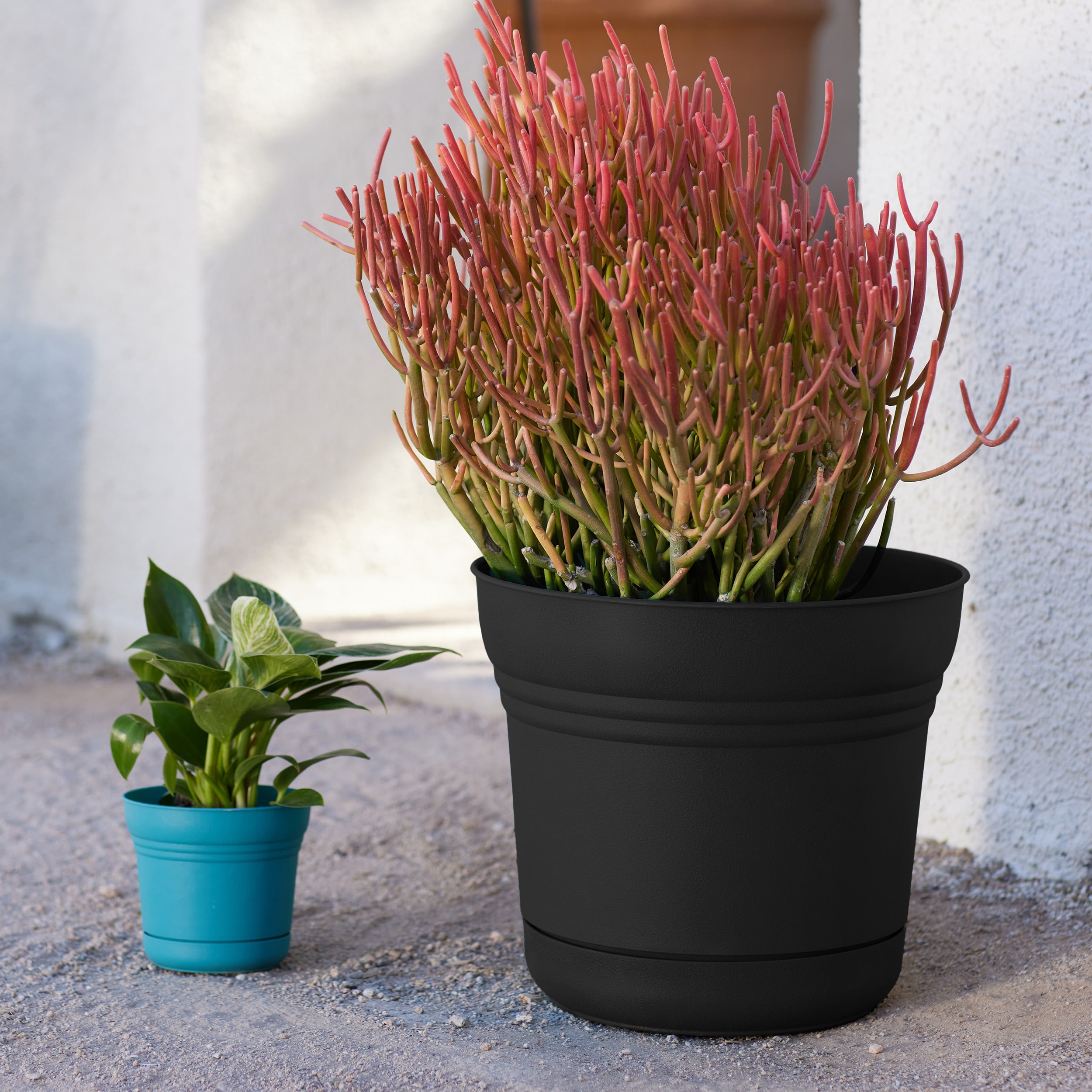 Bloem SP1400 Planter-Window-Box - View #2