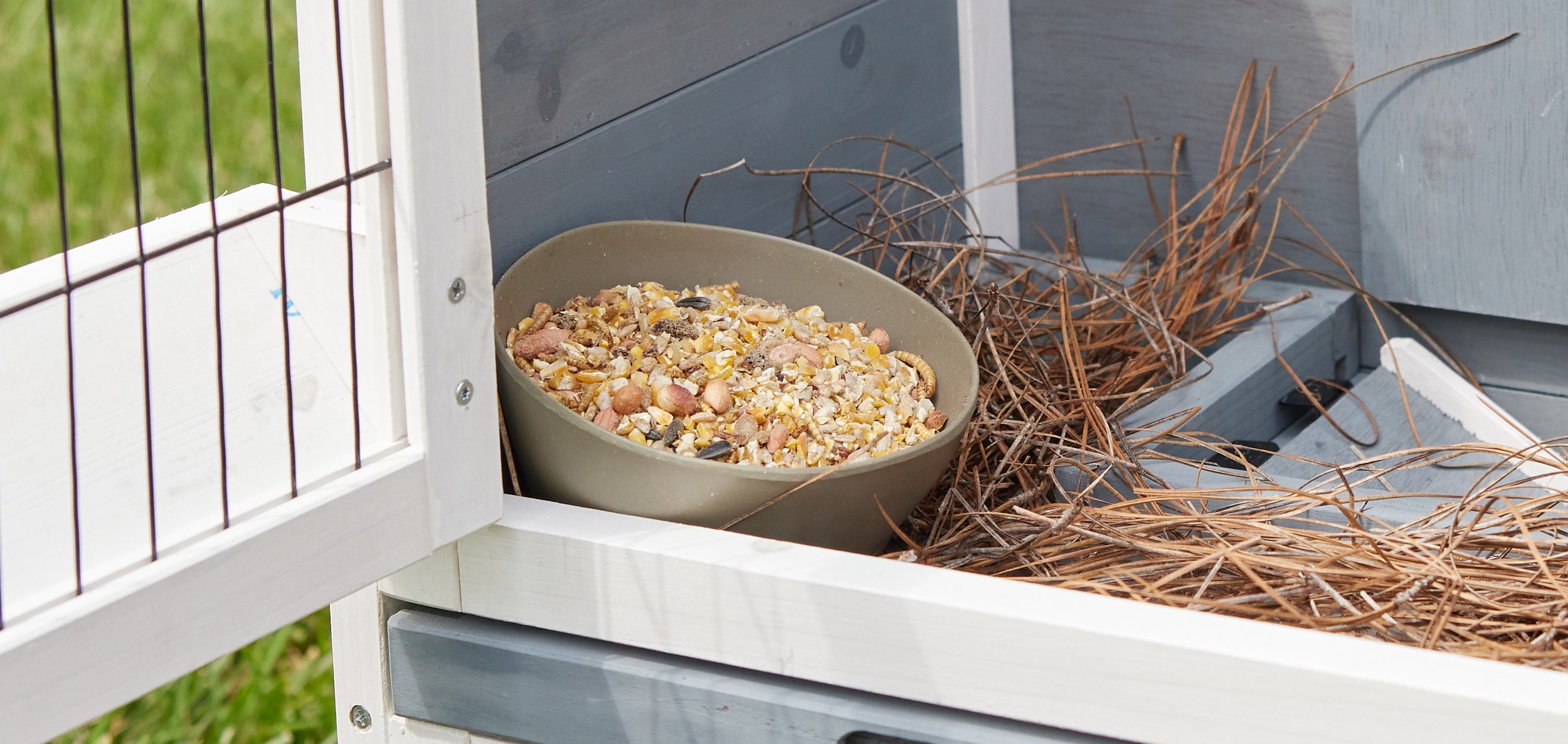 Pecking Order 009327 Poultry-Feed - View #4