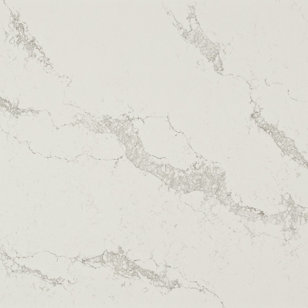 Caesarstone 5031  Statuario Maximus Quartz Off-white Kitchen Countertop SAMPLE ( 2-in x 4-in )