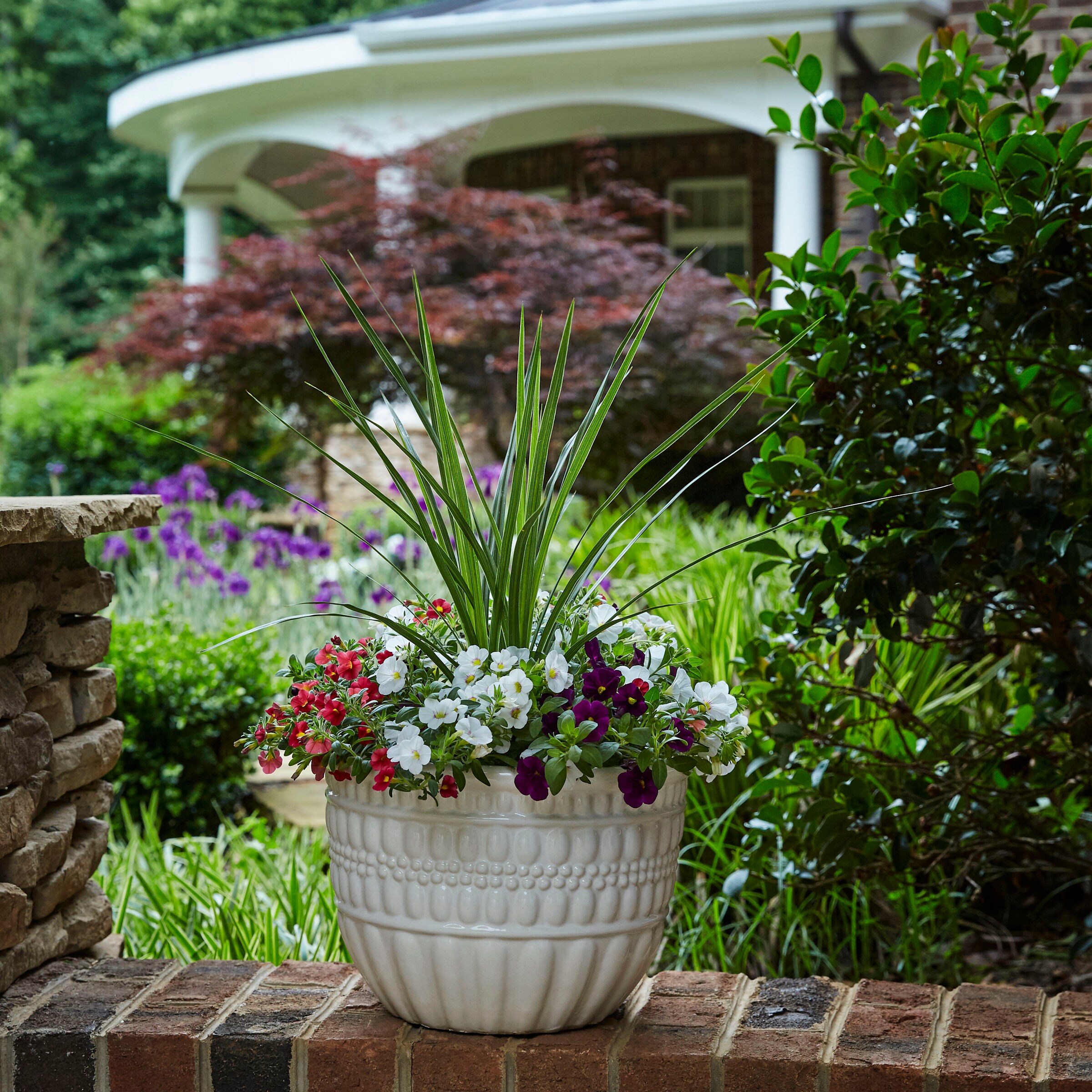 Ready Refill NURSERY annuals - View #3