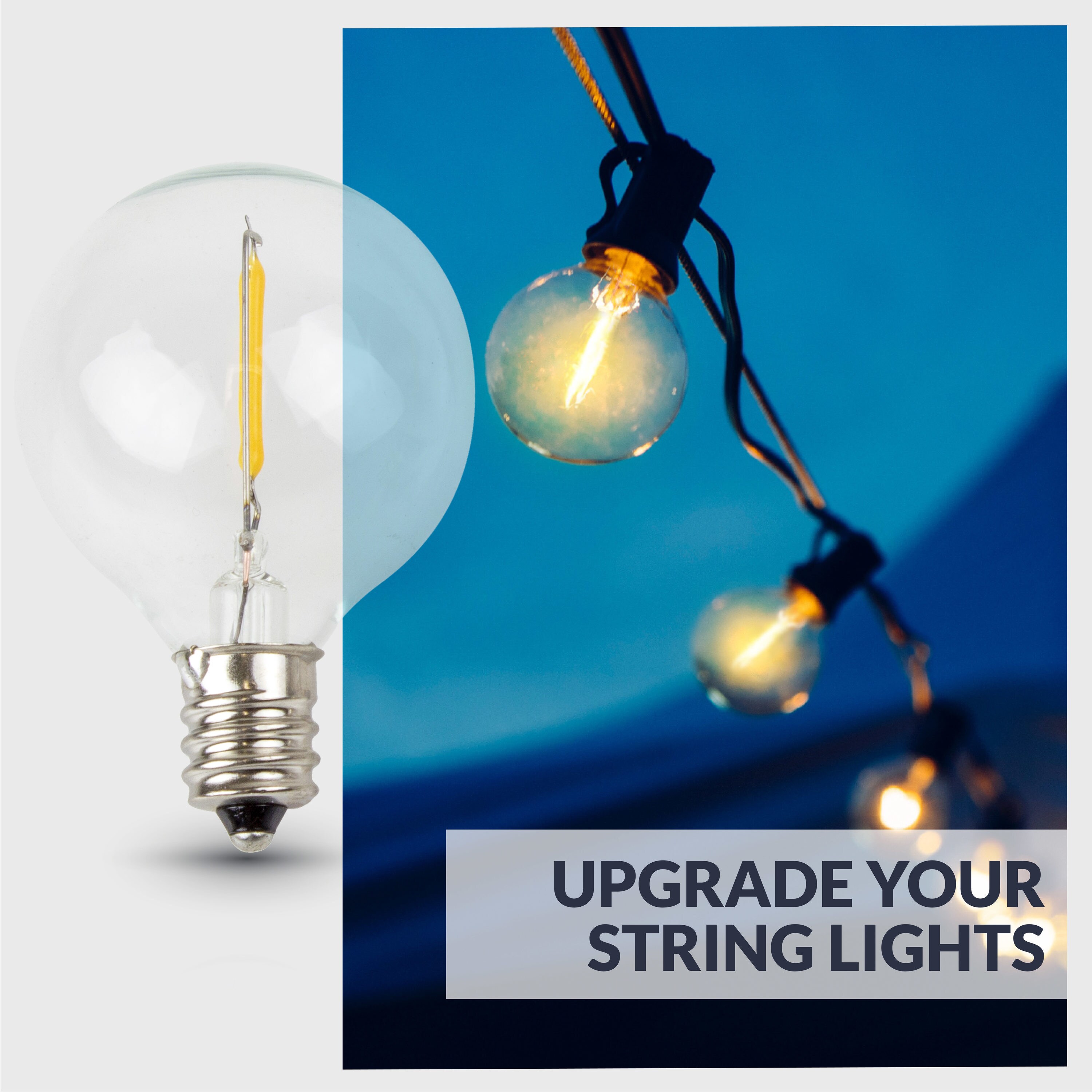 Newhouse Lighting G40LED25 Dec-Led-Light-Bulbs - View #4