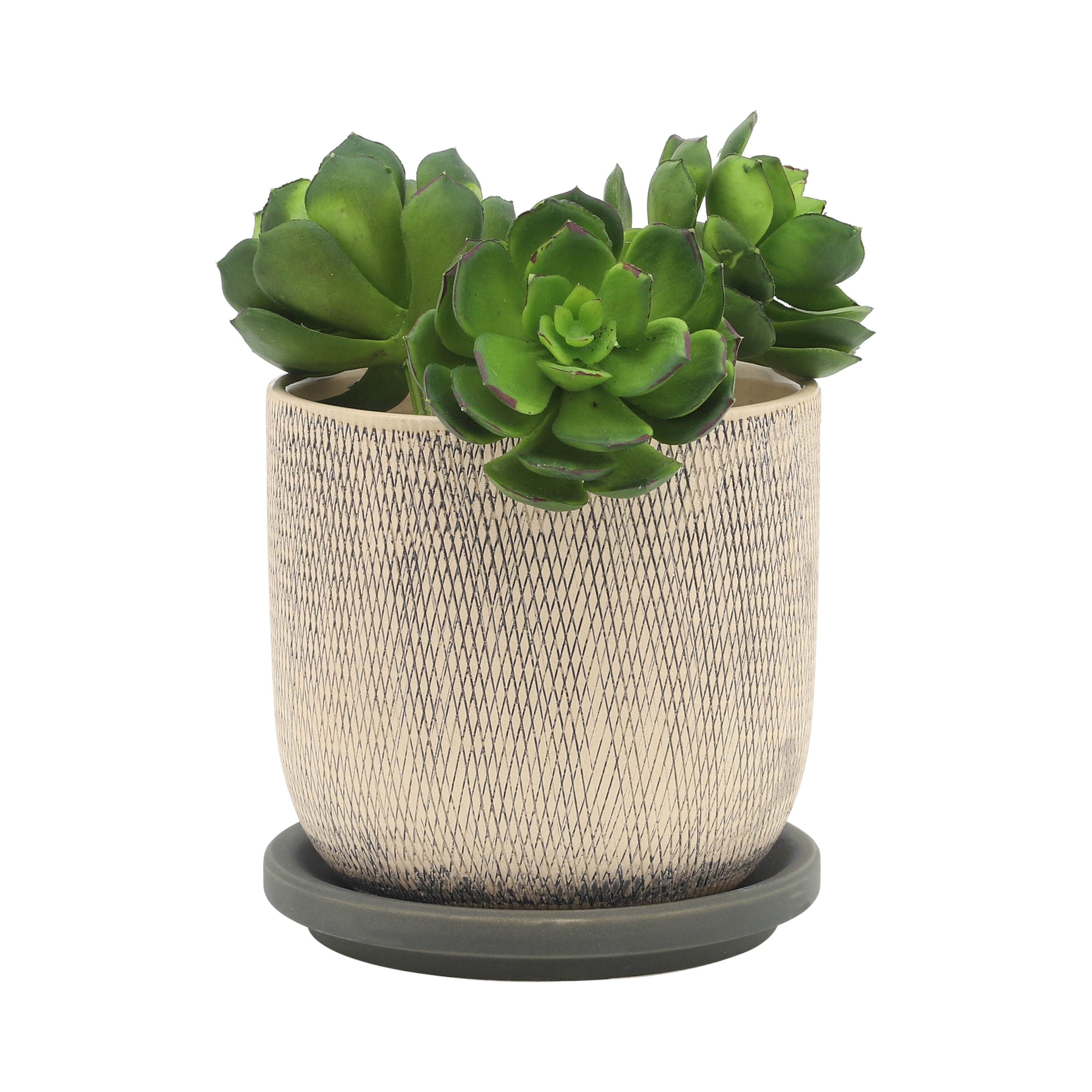 Sagebrook Home 16116-04 Planter-Window-Box - View #3