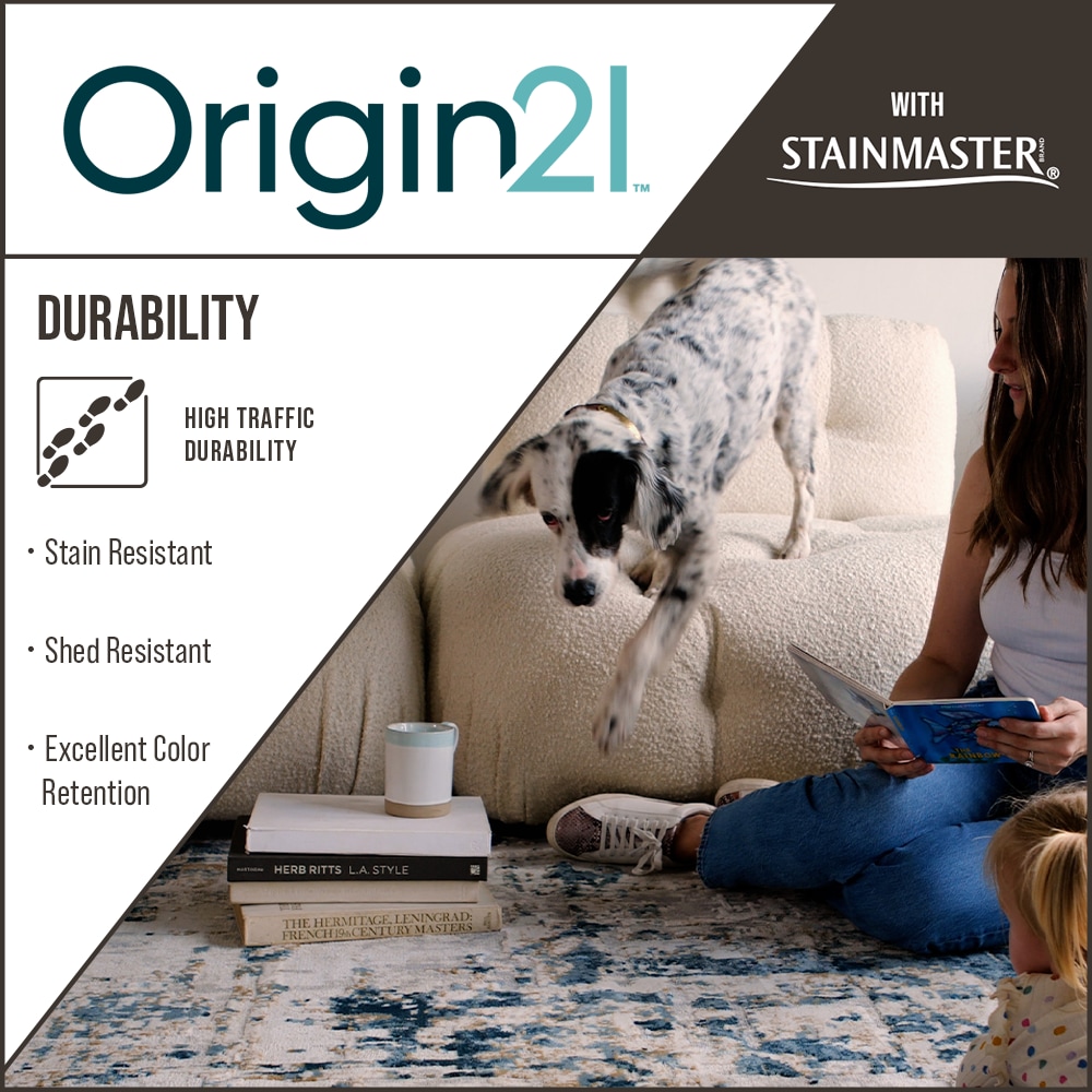 Origin 21 with STAINMASTER 342581 rugs - View #3