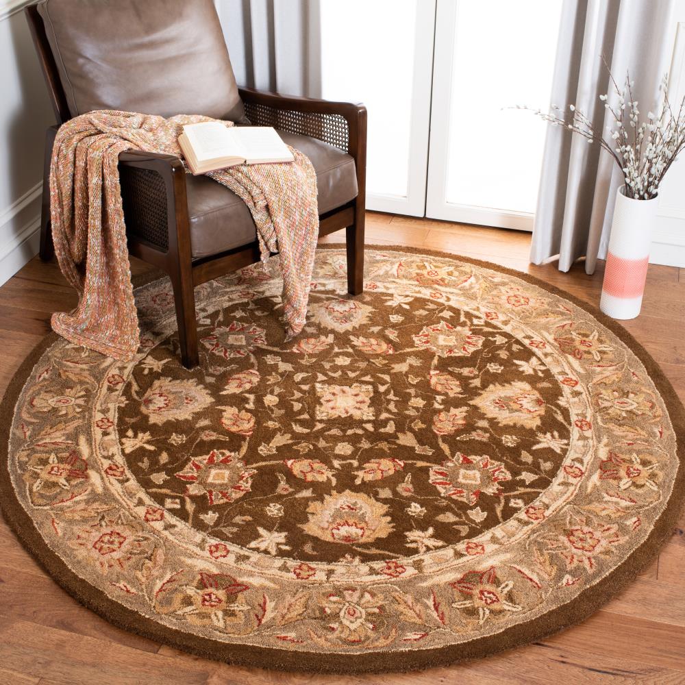Safavieh AN512F-6R rugs - View #2