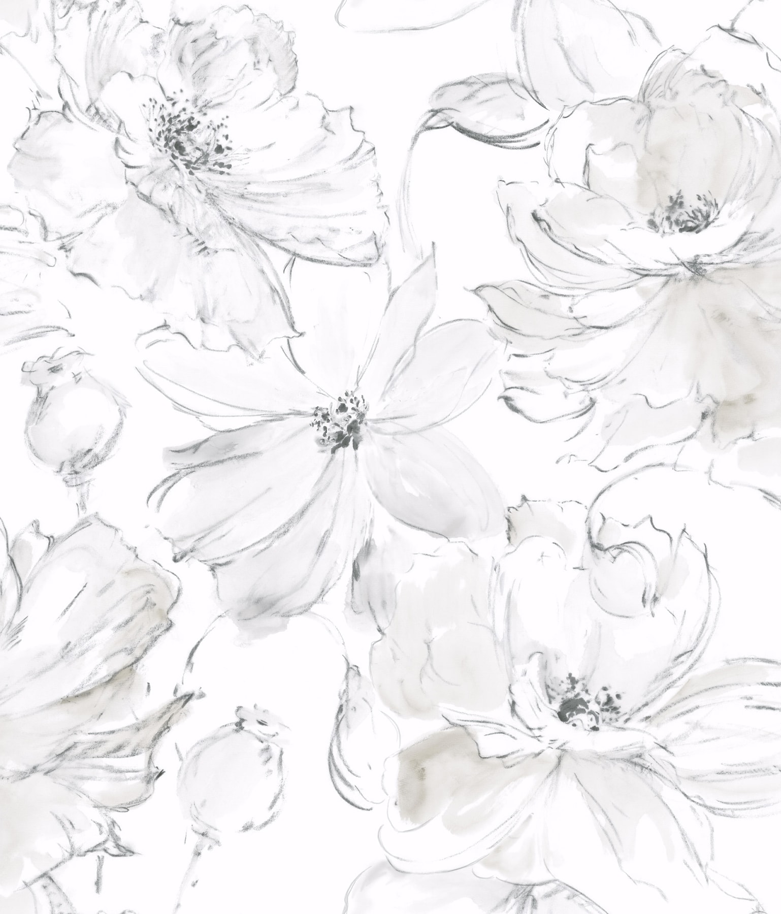 York Wallcoverings PSW1530RL Watercolor Botanicals 34.2-Sq. Feet Gray Non-woven Floral Self-adhesive Peel and Stick Wallpaper