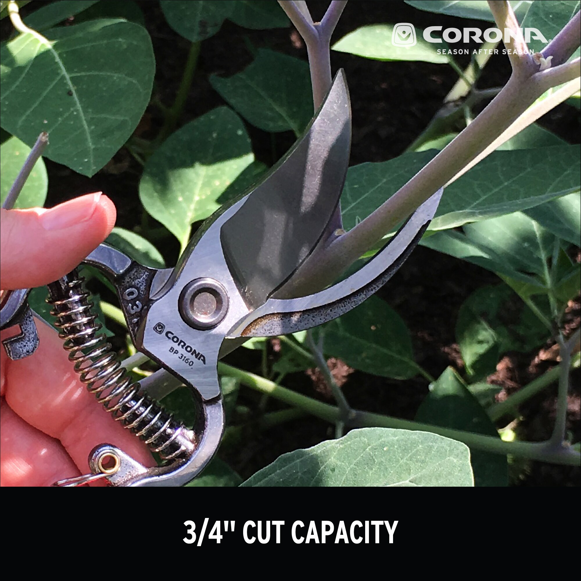 Corona BP 3160 Hand-Pruners - View #2
