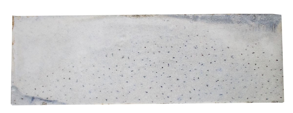 Boutique Ceramic LW230525401 Ceramic-Tile - View #12