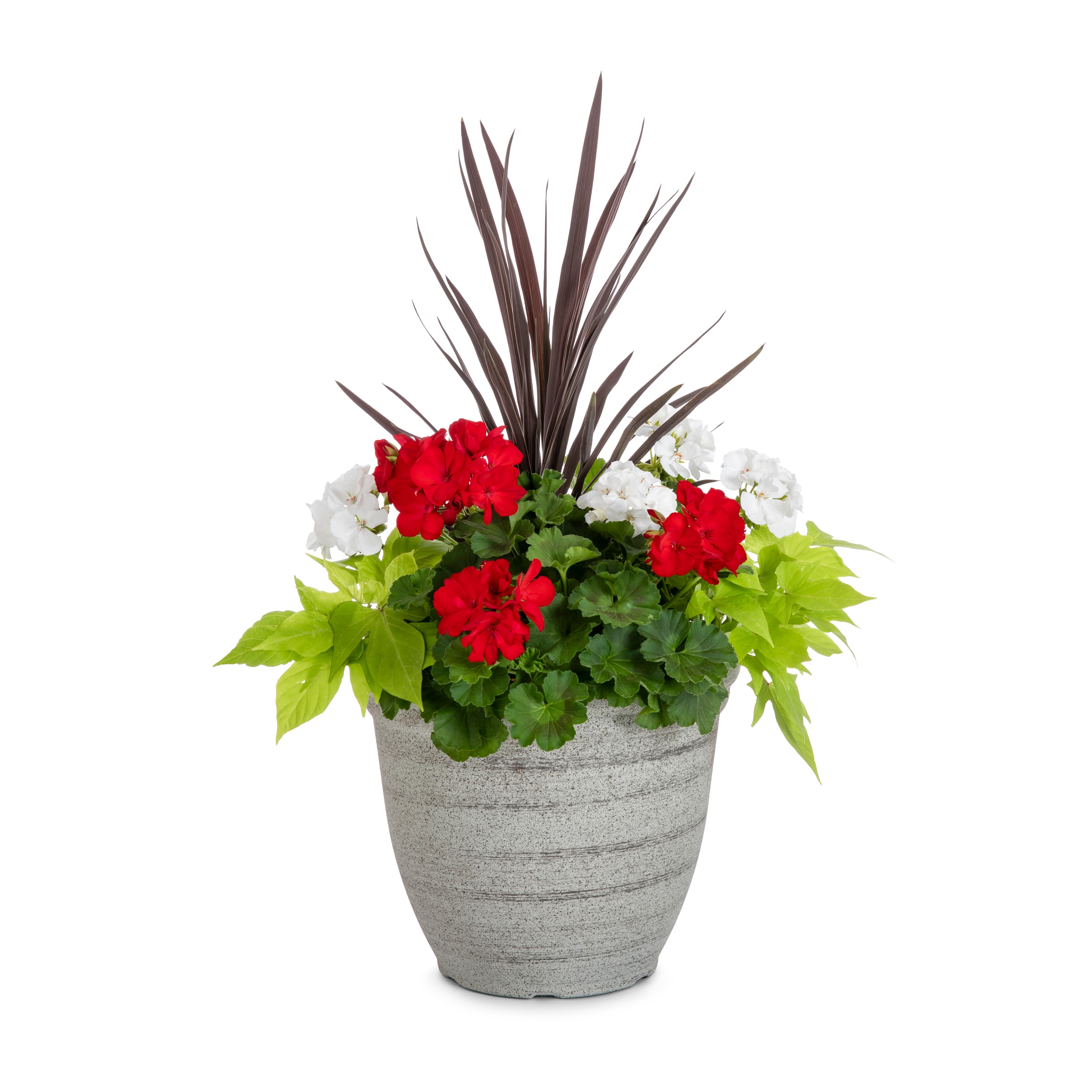 Monrovia Multicolor Mixed Annuals Combinations in 3-Gallon Planter in ...