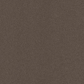 Wallagrass Espresso Needlebond Carpet Sample (Interior/Exterior) Wallagrass Espresso Needlebond Carpet Sample (Interior/Exterior)
