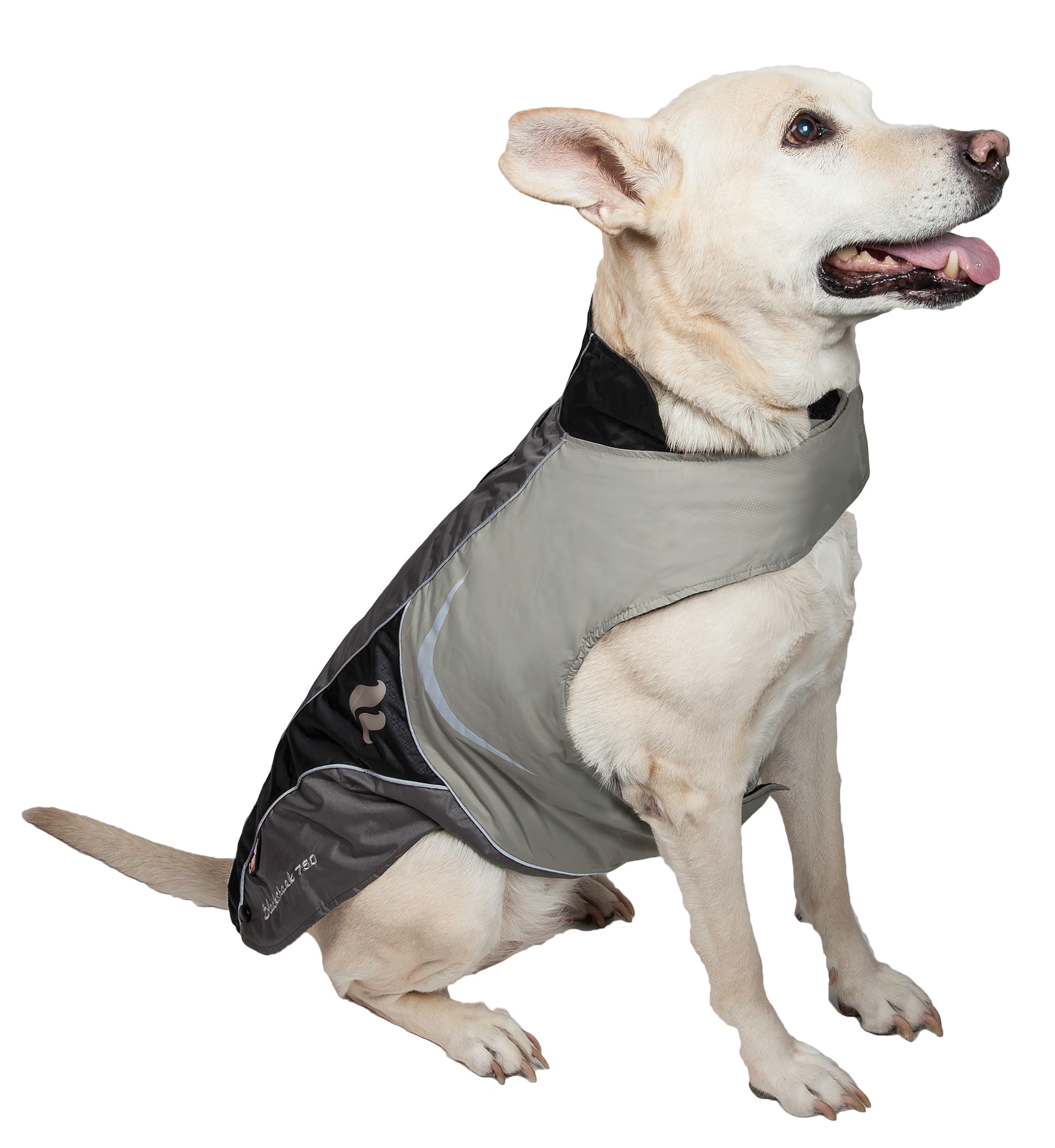 Dog Helios JKHLGYMD Dog-Apparel - View #6
