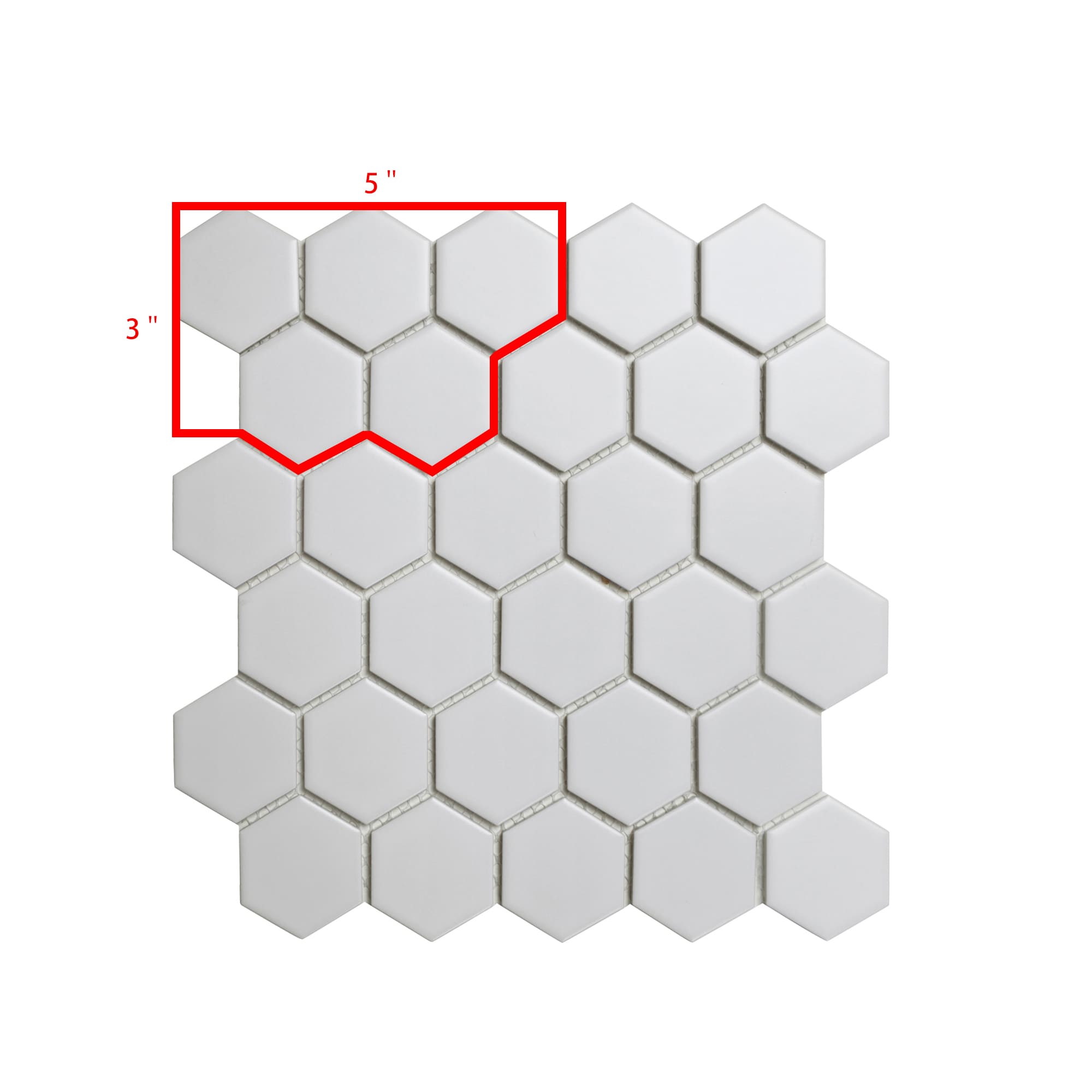 WS Tiles TL2H201-SAM Tile-Samples - View #4