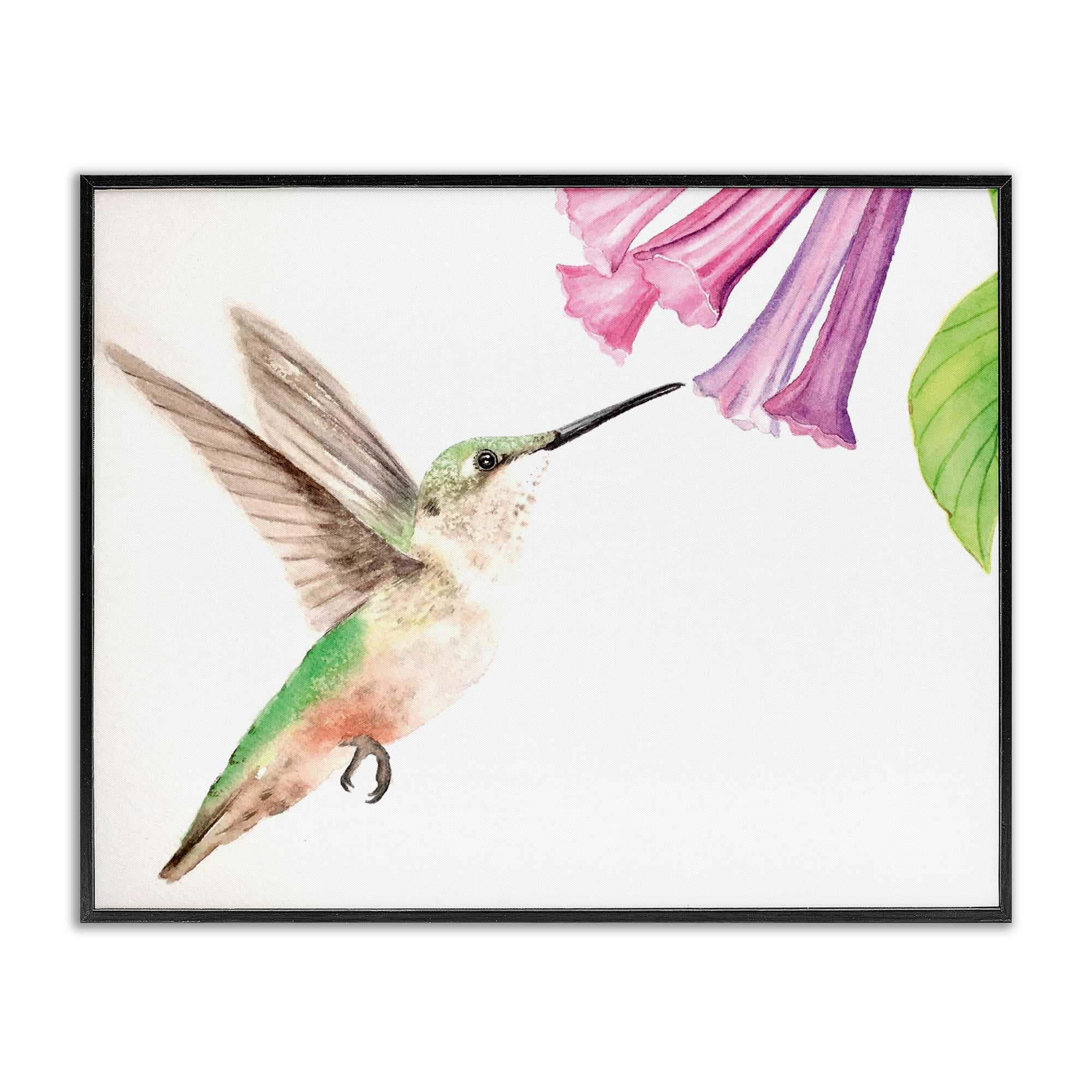 Stupell Industries BS-575-FR-24X30 Hummingbird and Bluebell Flower Black Framed Giclee Art By Stephanie Fielden 30 x 24