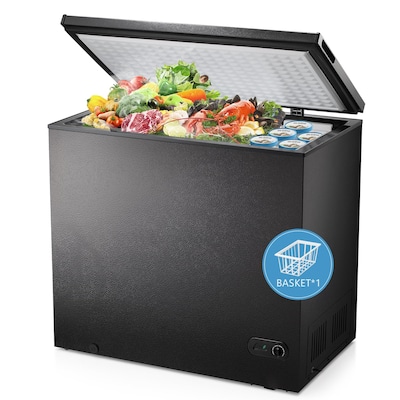 Black freezers for online sale